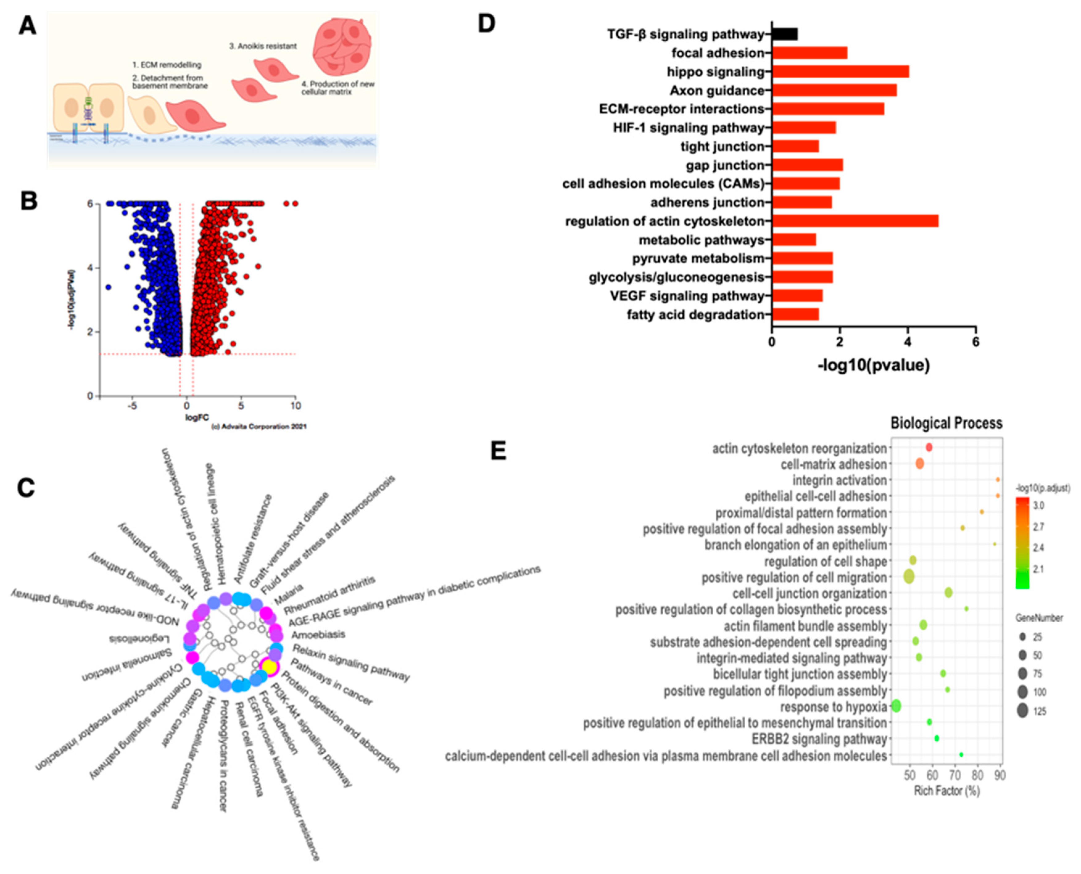 Cancers 15 00684 g004 Cancers 15 00684 g004
