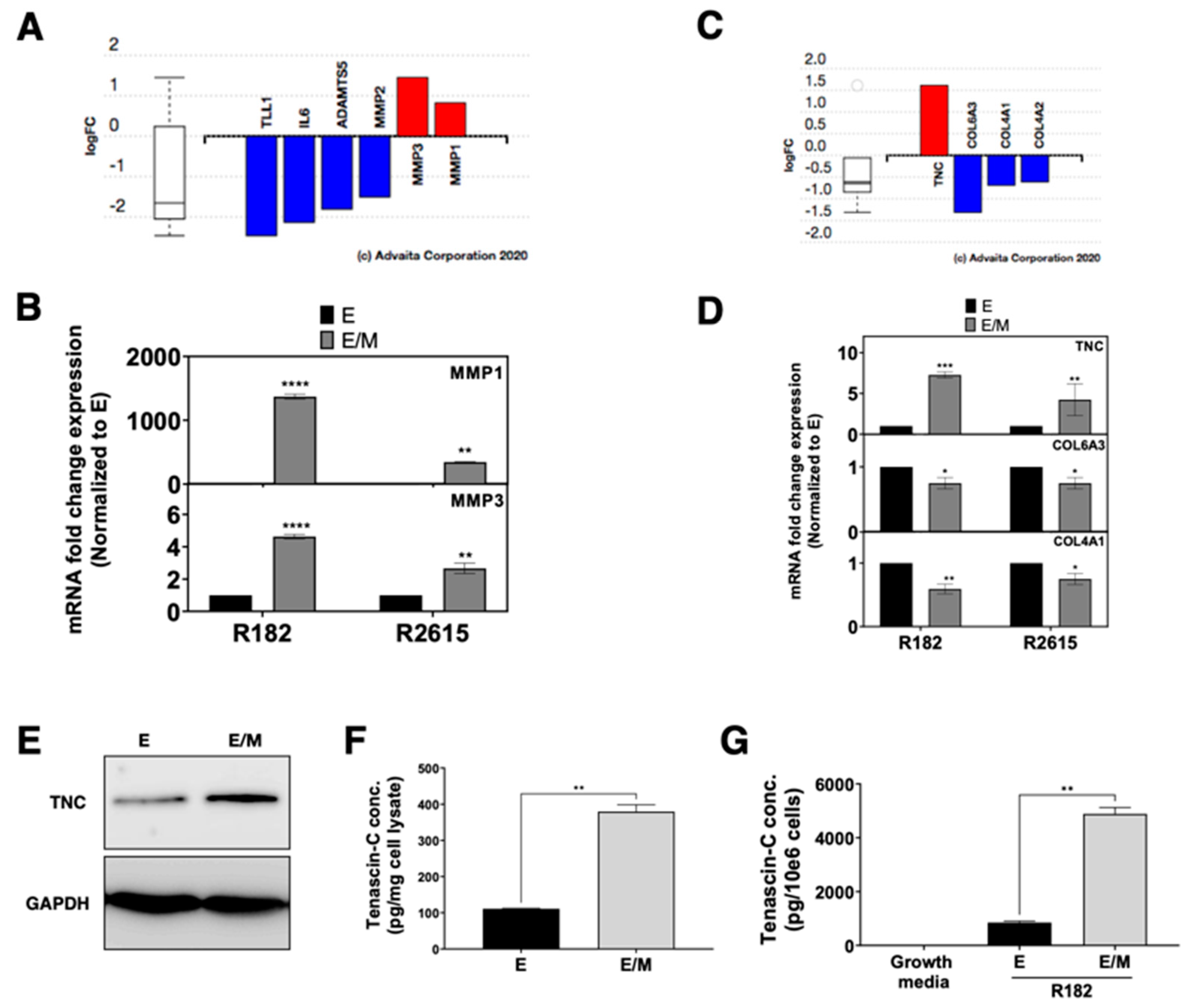Cancers 15 00684 g005 Cancers 15 00684 g005