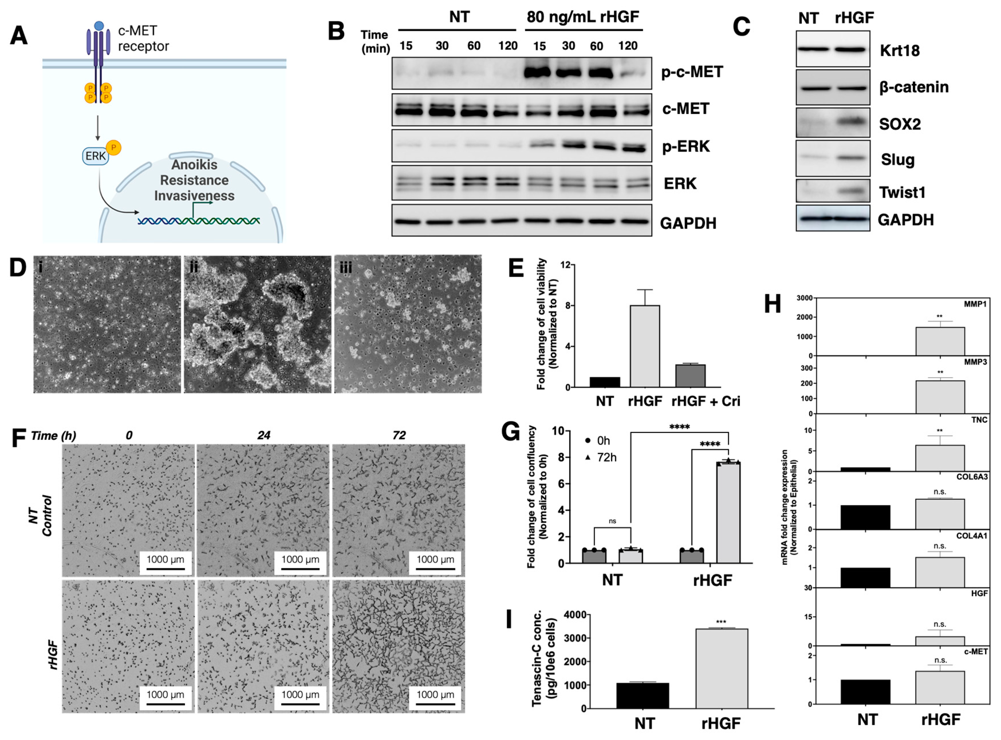 Cancers 15 00684 g007 Cancers 15 00684 g007