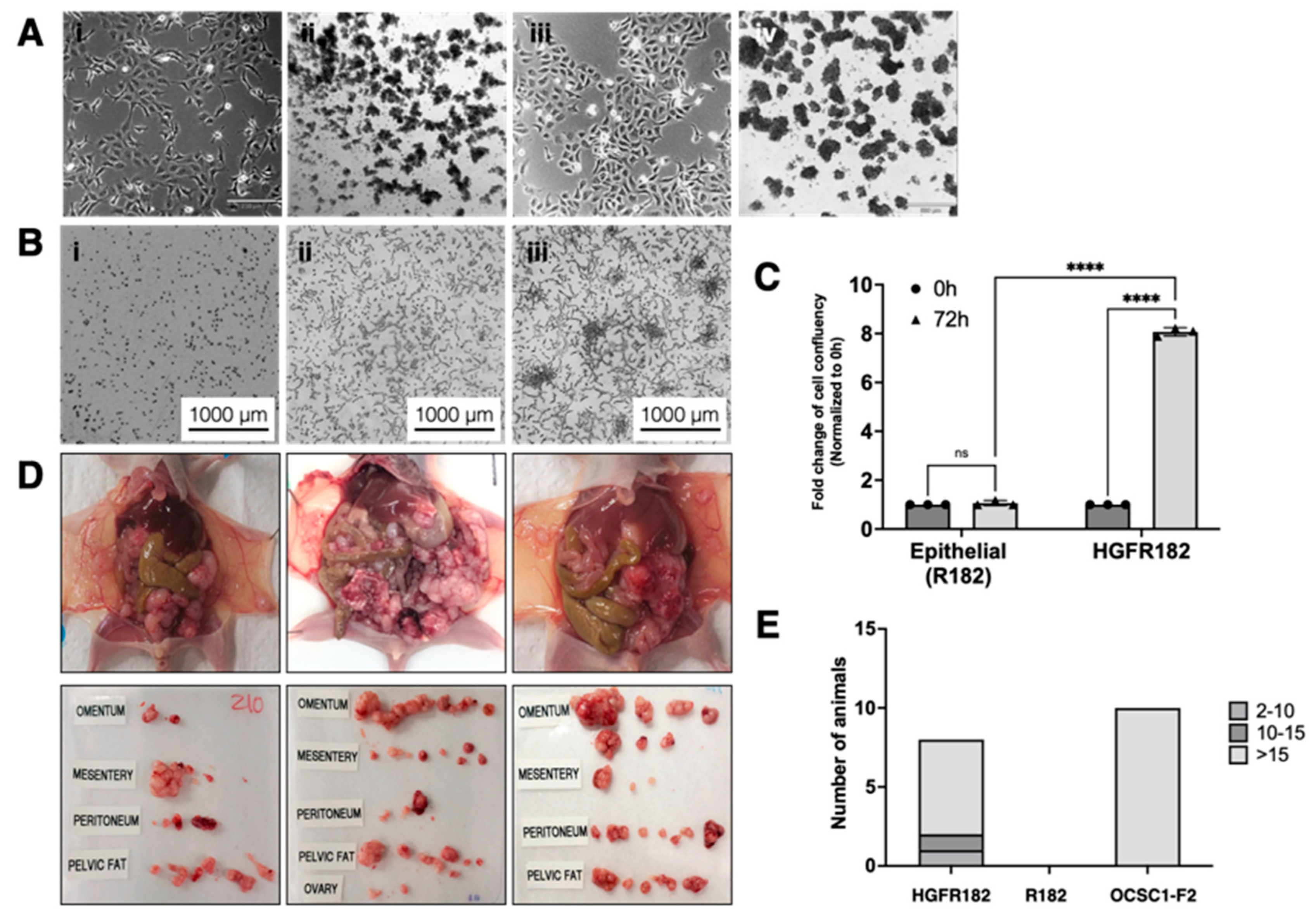 Cancers 15 00684 g008 Cancers 15 00684 g008