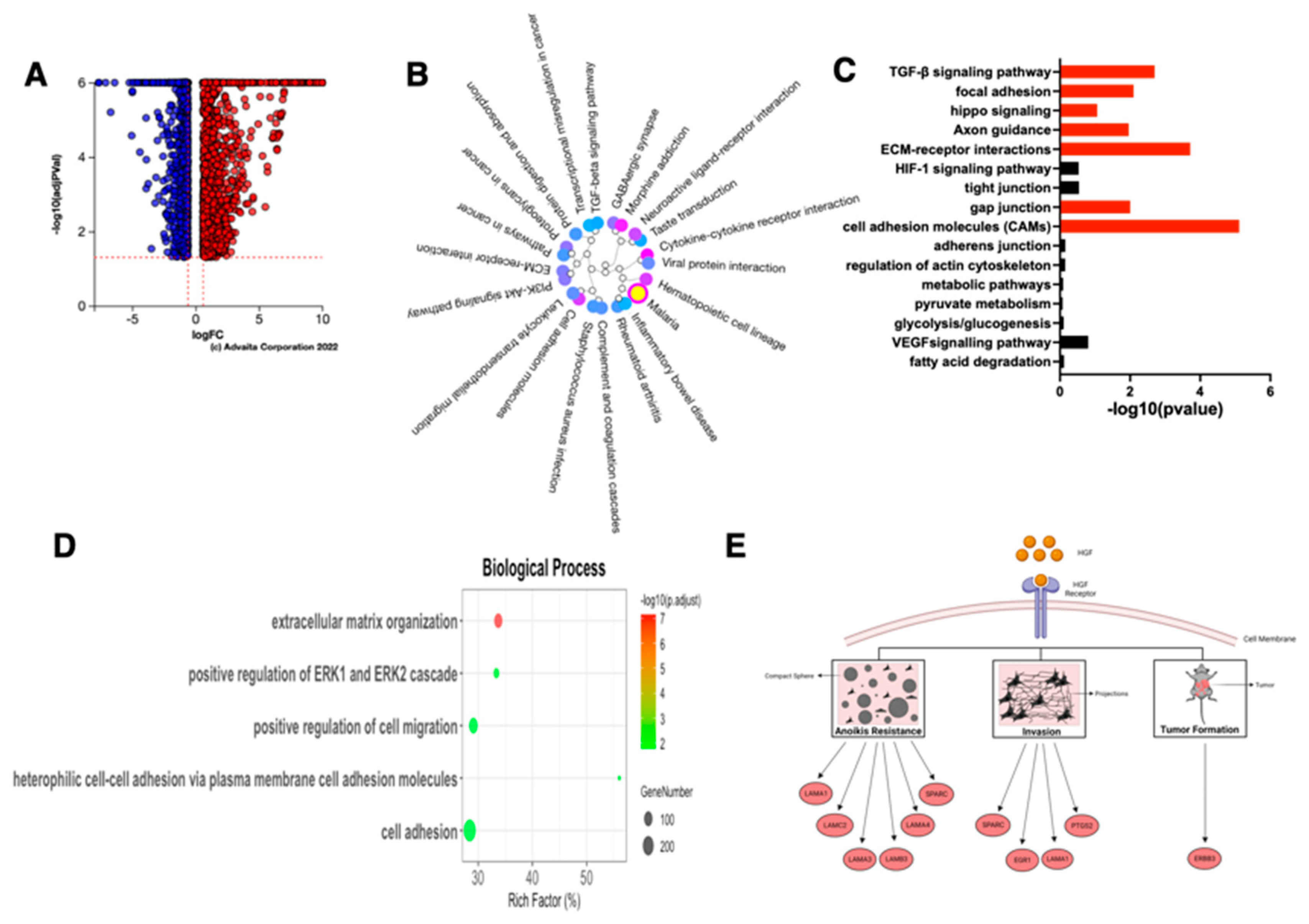 Cancers 15 00684 g009 Cancers 15 00684 g009