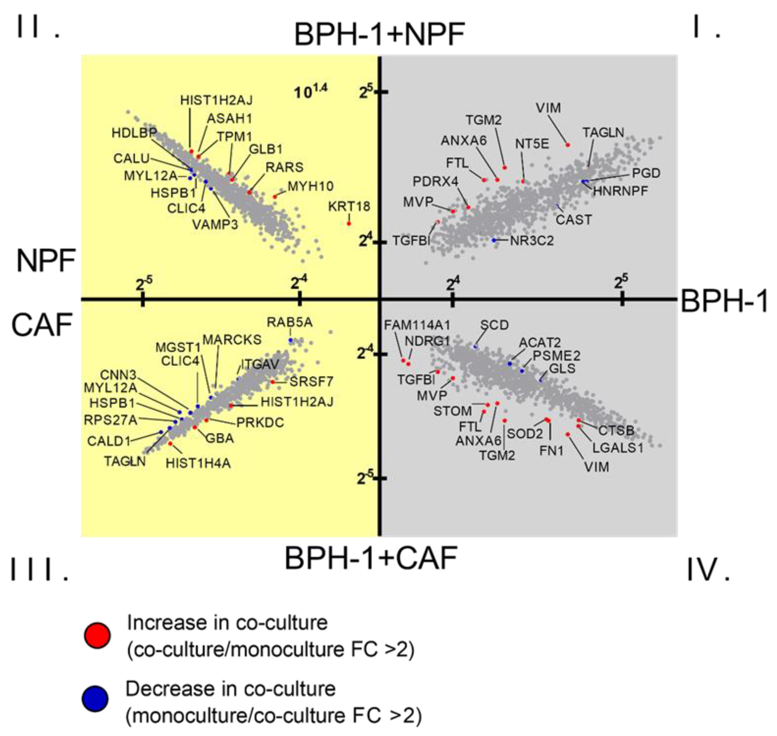 Cancers 15 00699 g002 Cancers 15 00699 g002