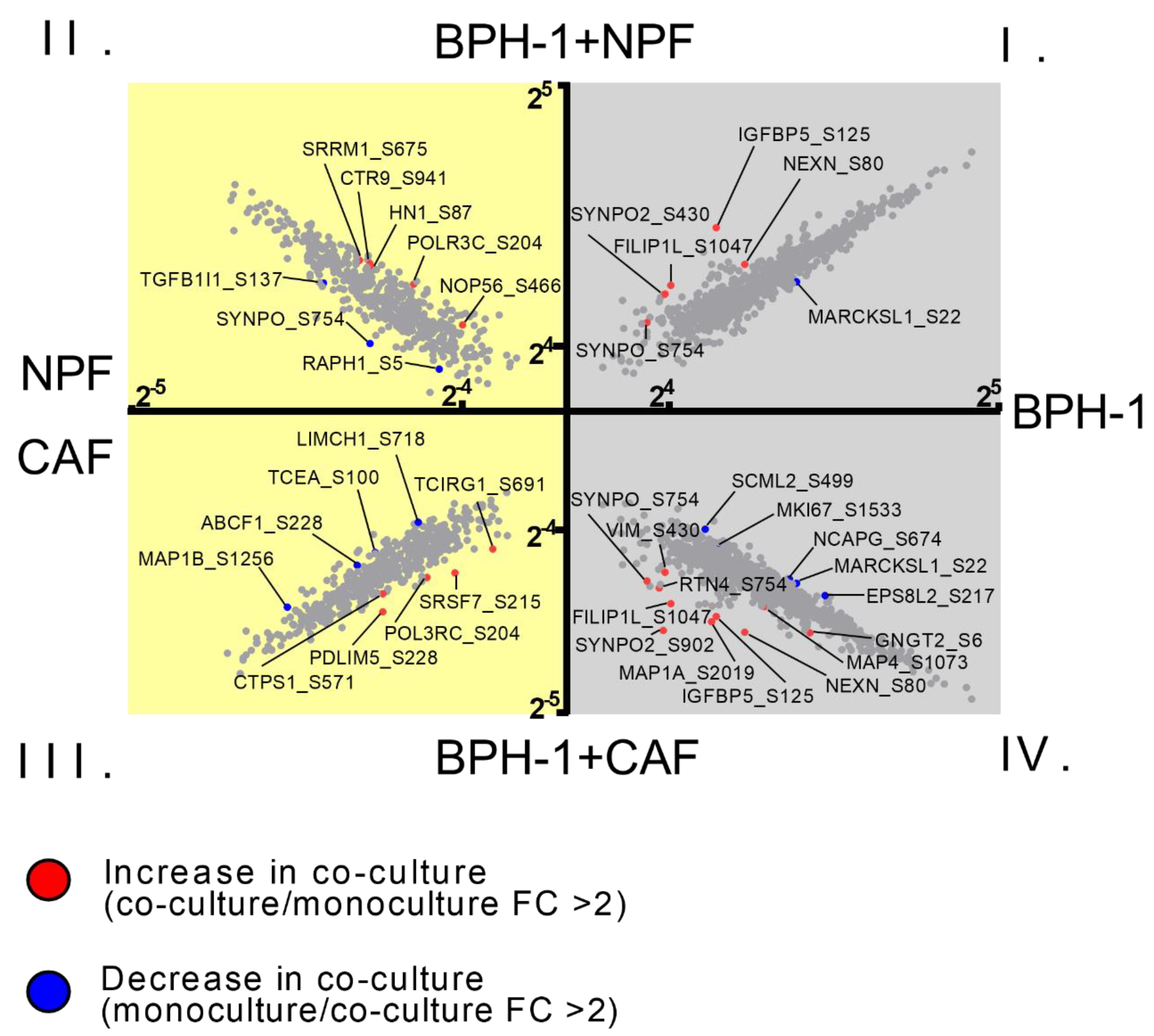 Cancers 15 00699 g004 Cancers 15 00699 g004