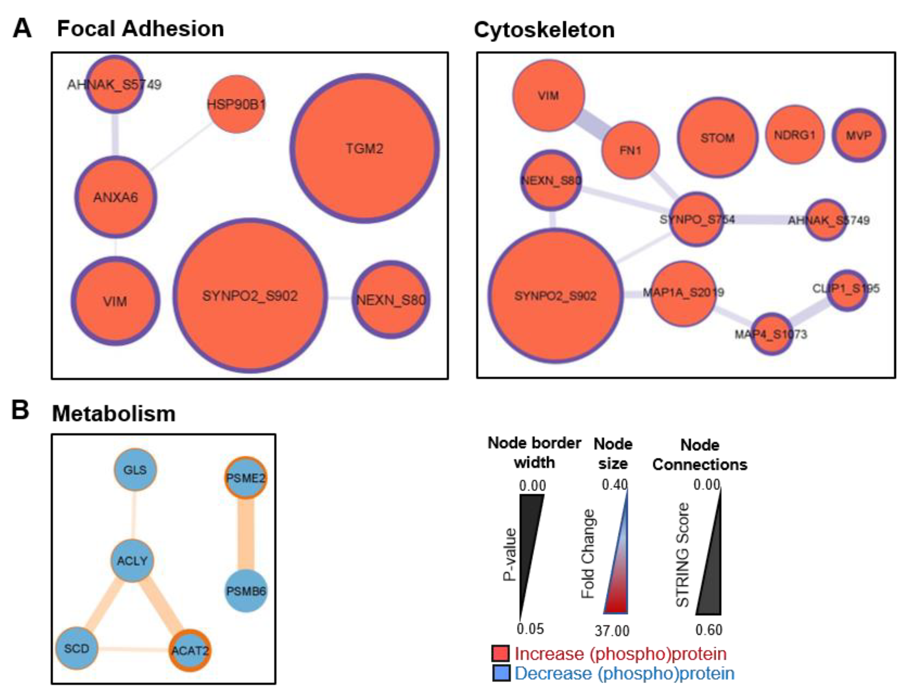 Cancers 15 00699 g005 Cancers 15 00699 g005