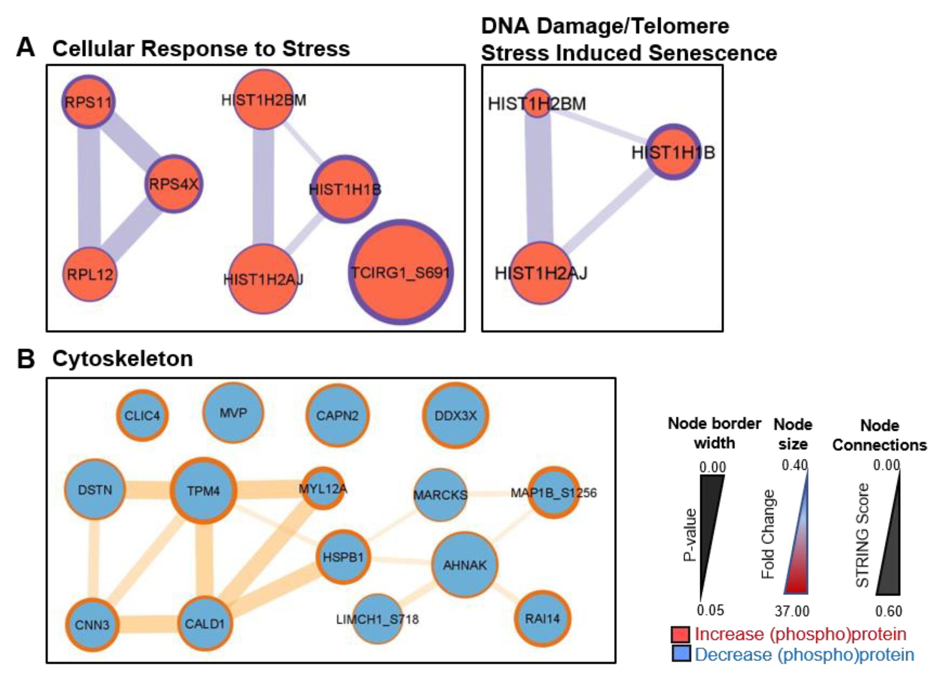 Cancers 15 00699 g006 Cancers 15 00699 g006