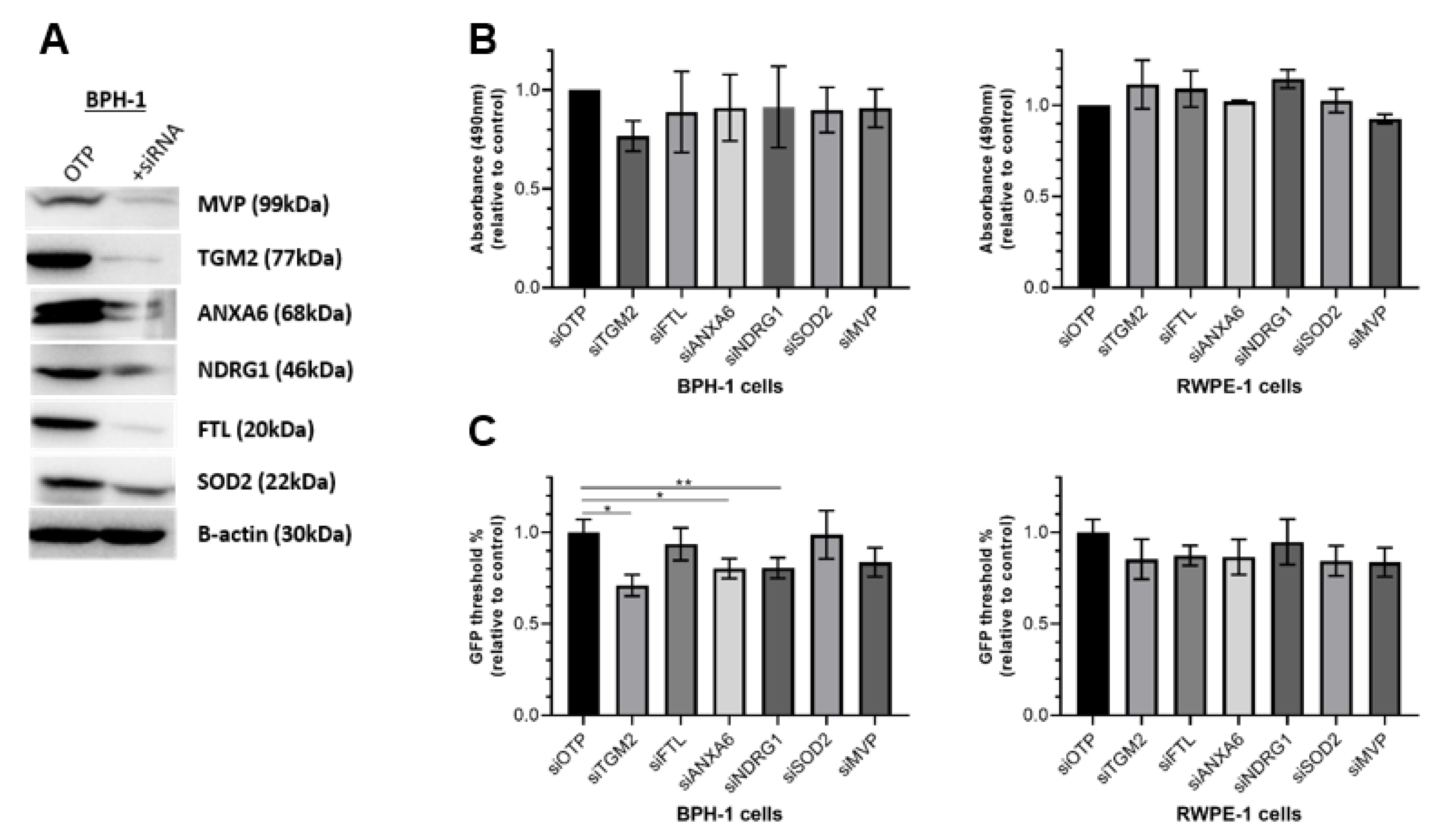 Cancers 15 00699 g007 Cancers 15 00699 g007