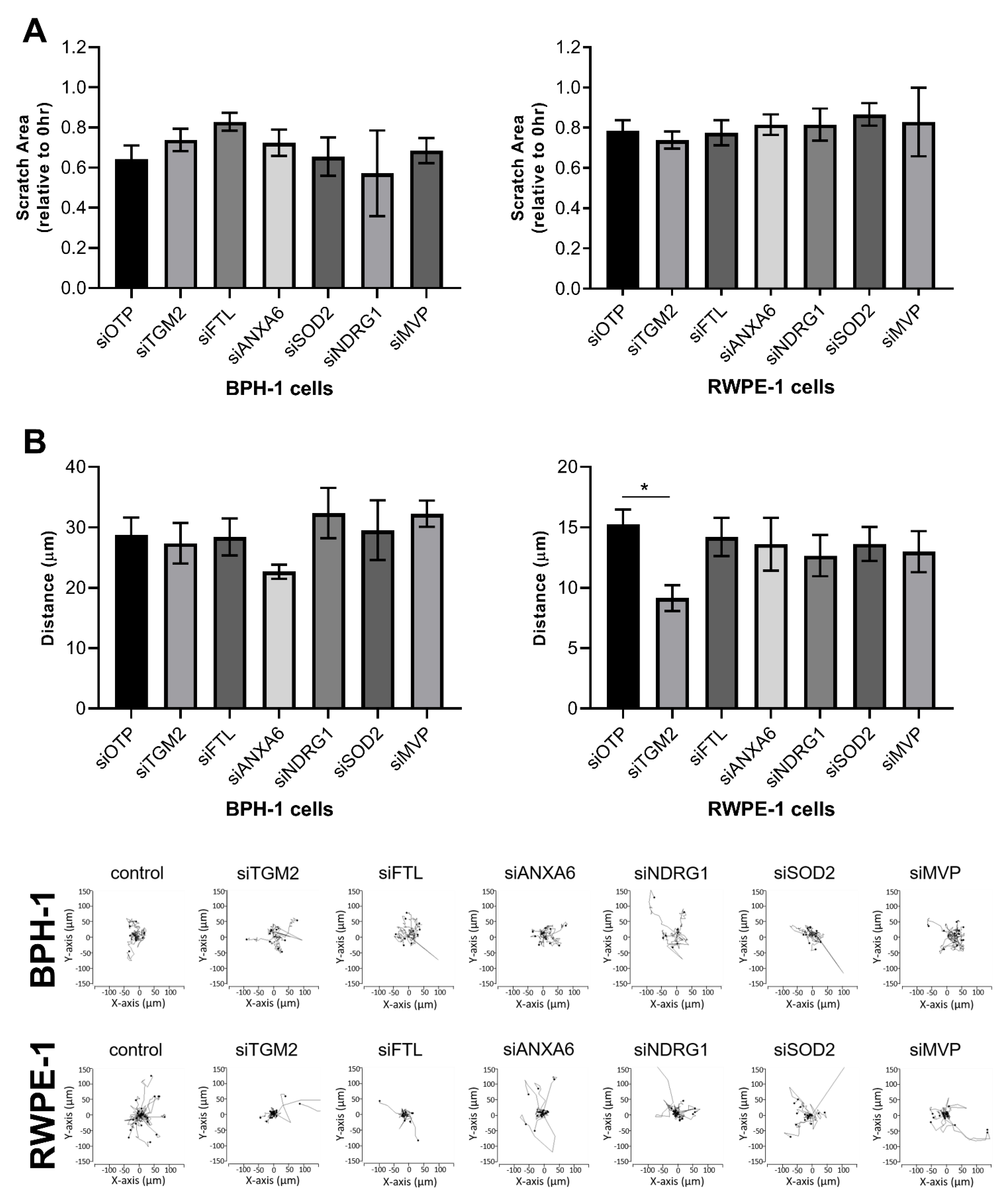 Cancers 15 00699 g008 Cancers 15 00699 g008