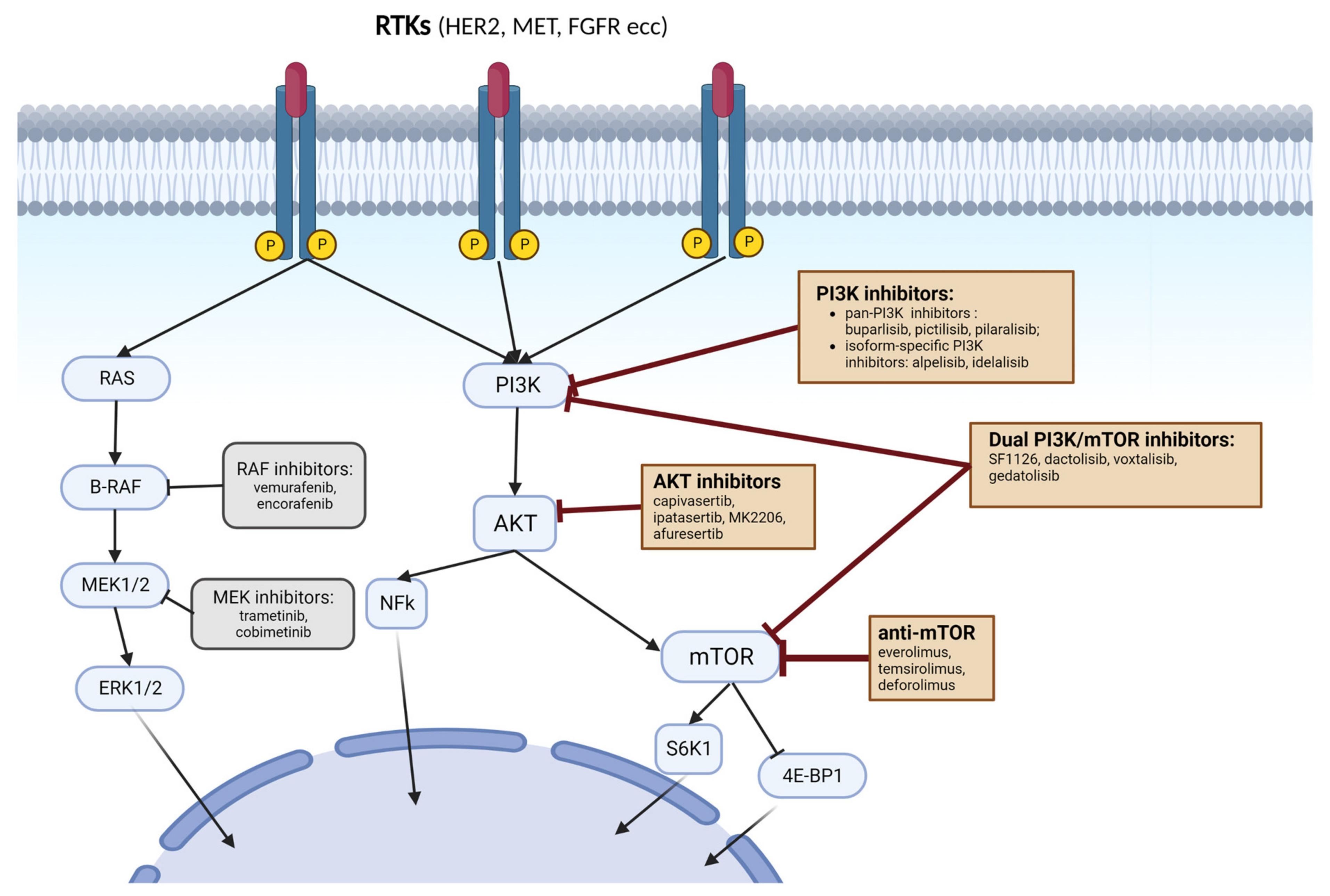 Cancers 15 00703 g002