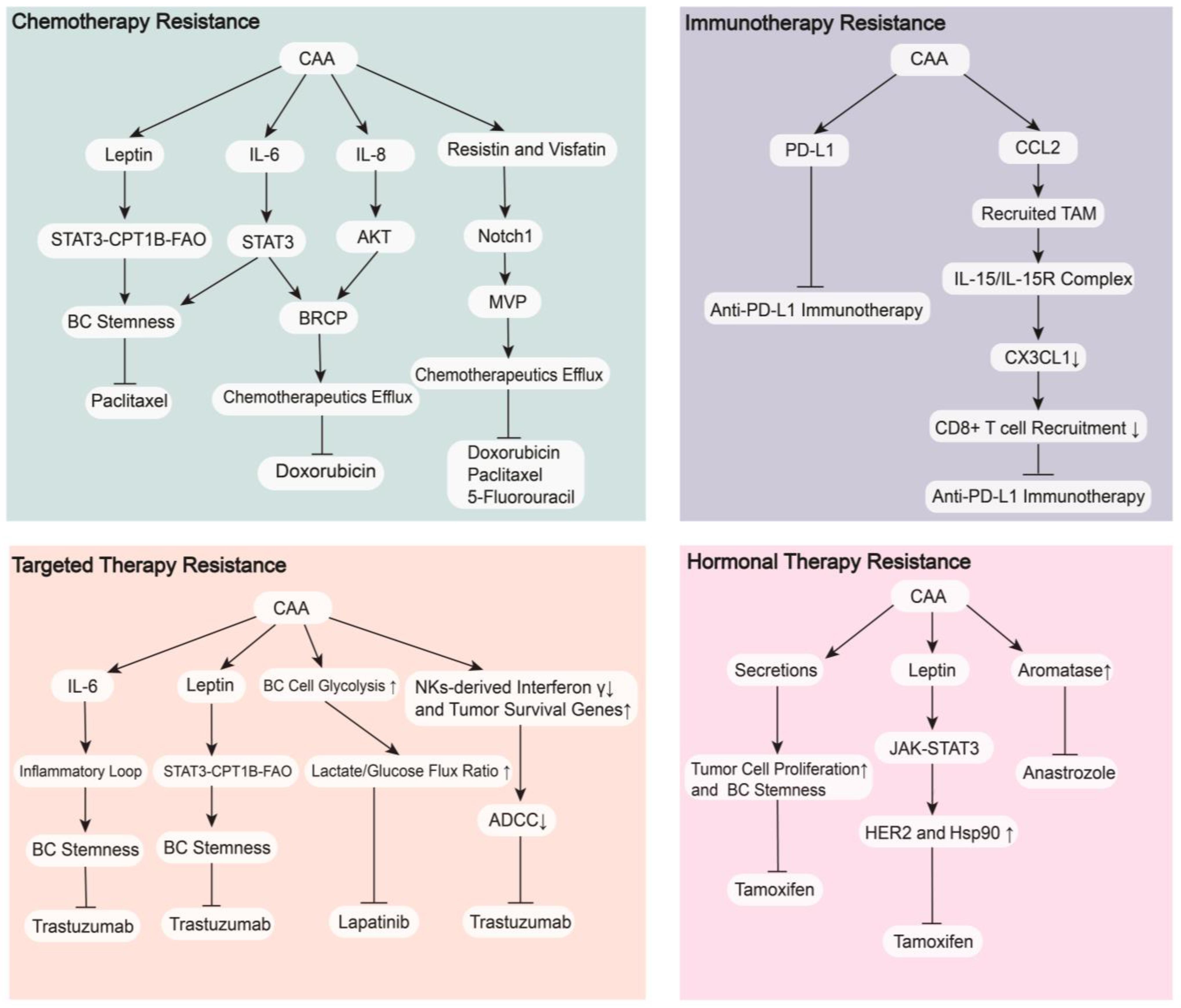 Cancers 15 00726 g004 Cancers 15 00726 g004
