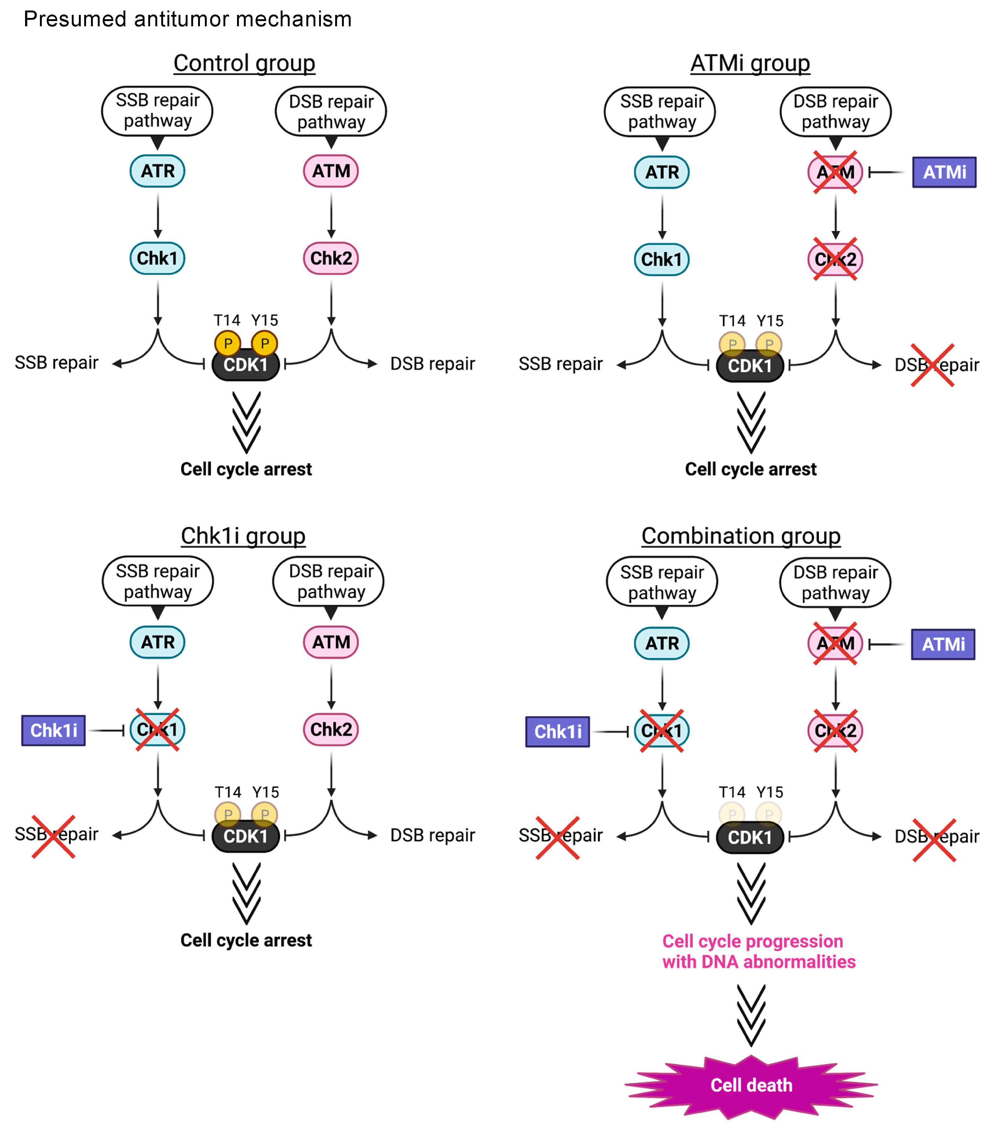 Cancers 15 00735 g006