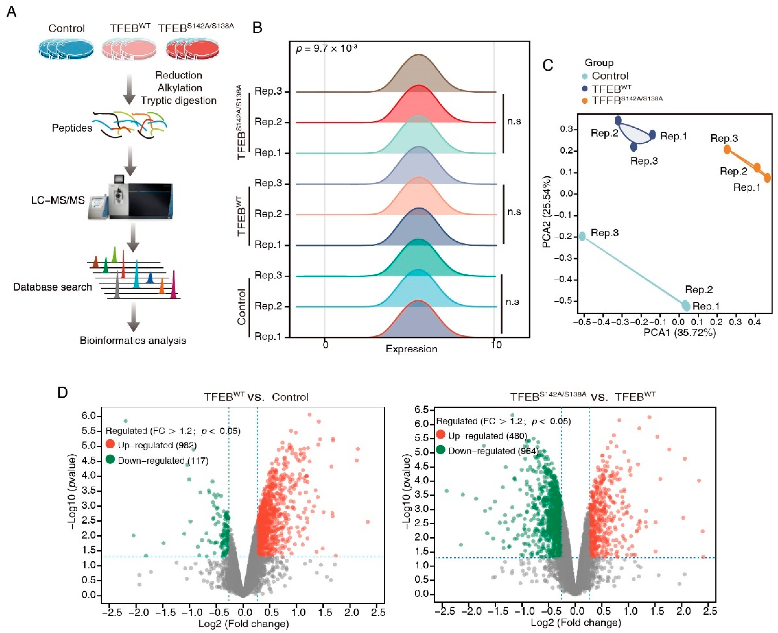 Cancers 15 00744 g002a Cancers 15 00744 g002a