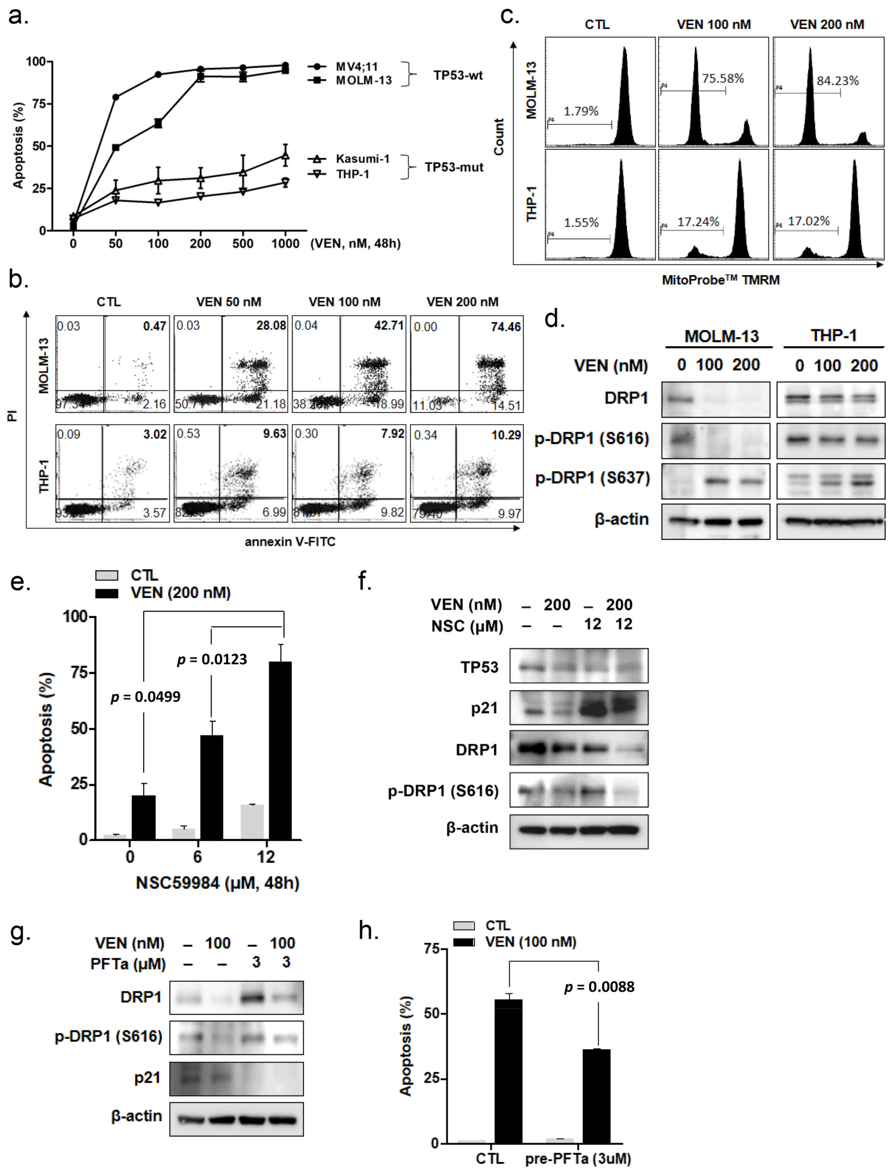 Cancers 15 00745 g001