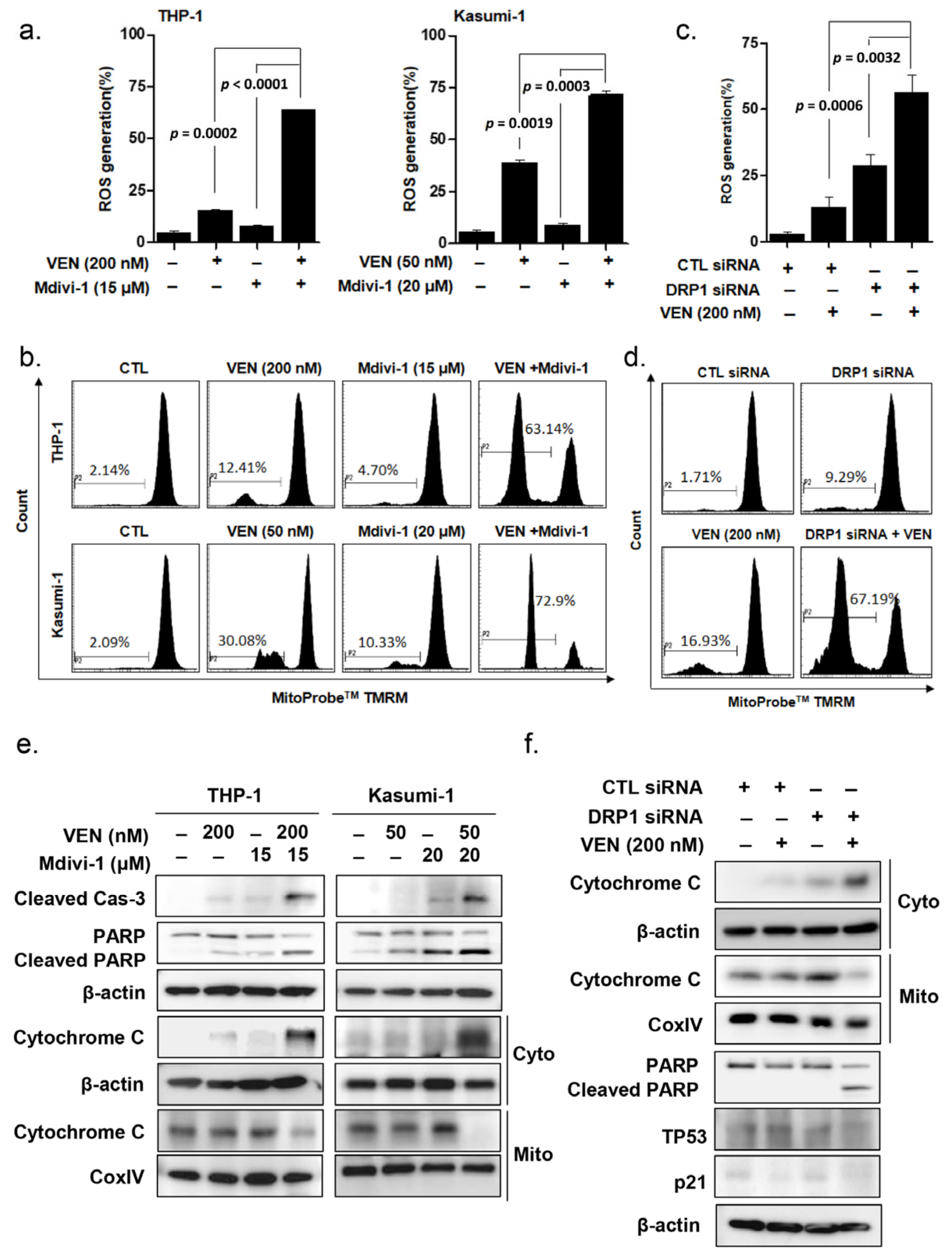 Cancers 15 00745 g004