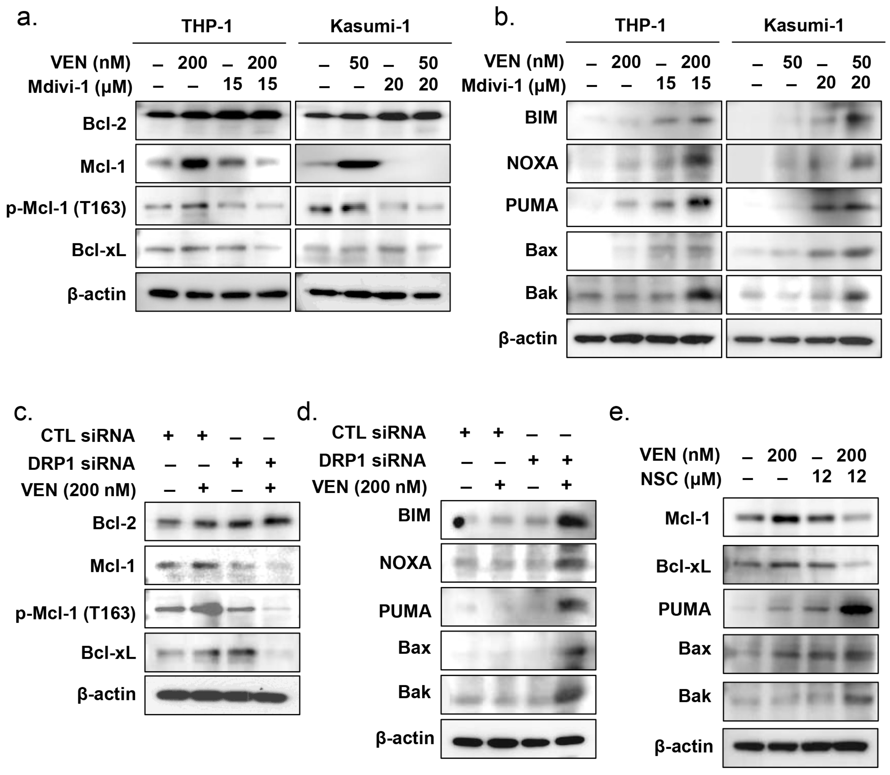 Cancers 15 00745 g005