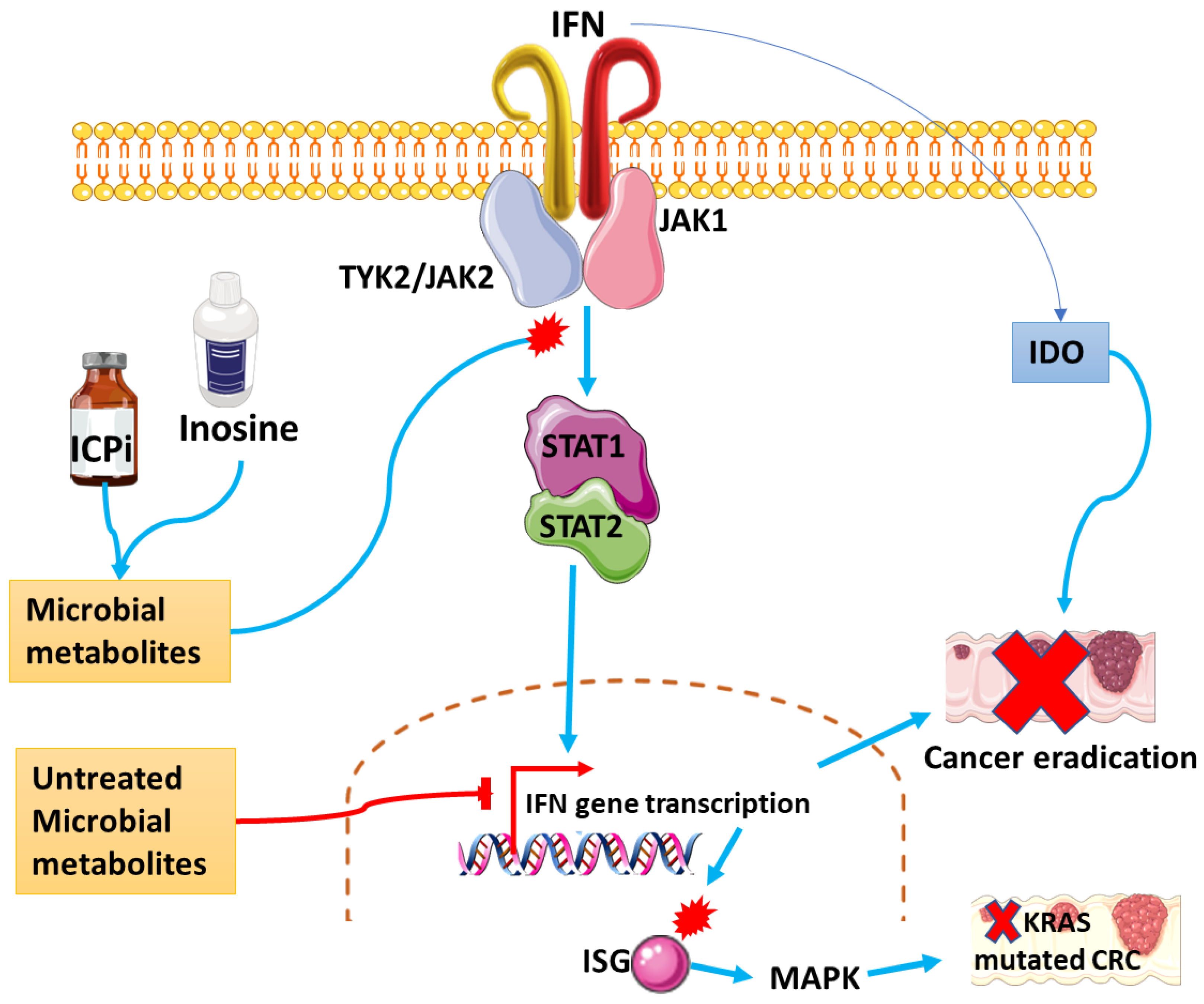 Cancers 15 00748 g005