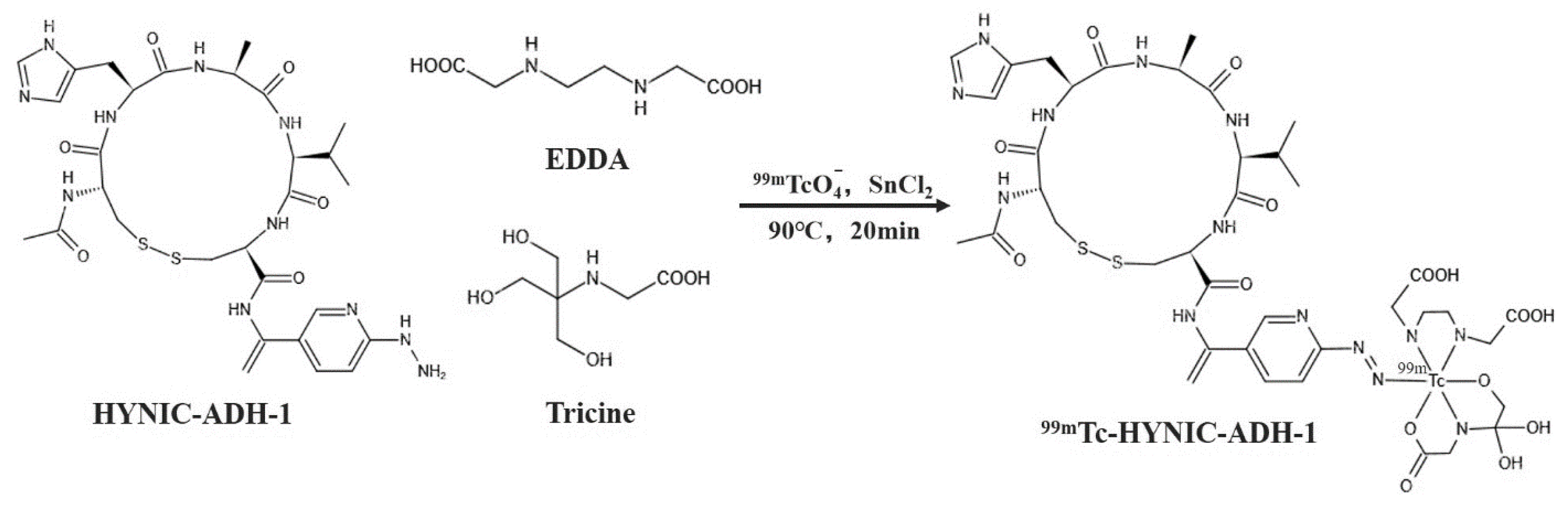 Cancers 15 00755 g001