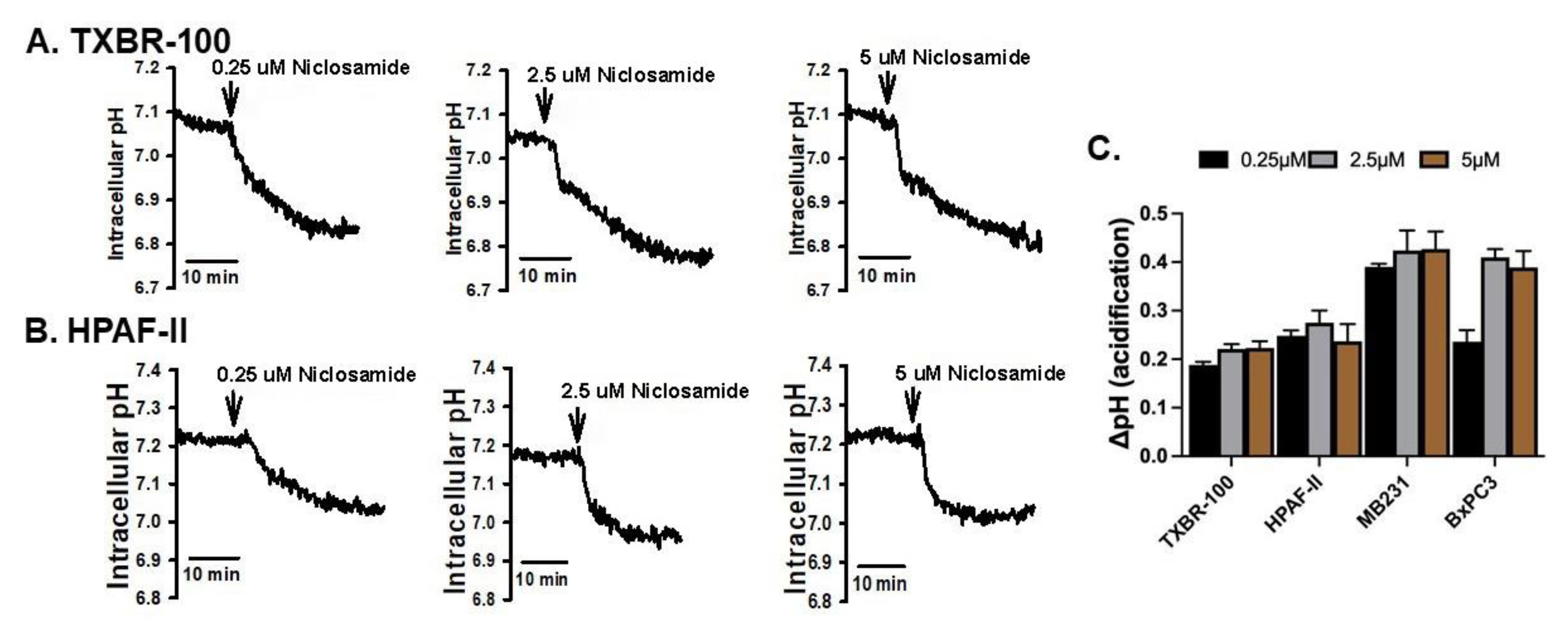 Cancers 15 00759 g001 Cancers 15 00759 g001