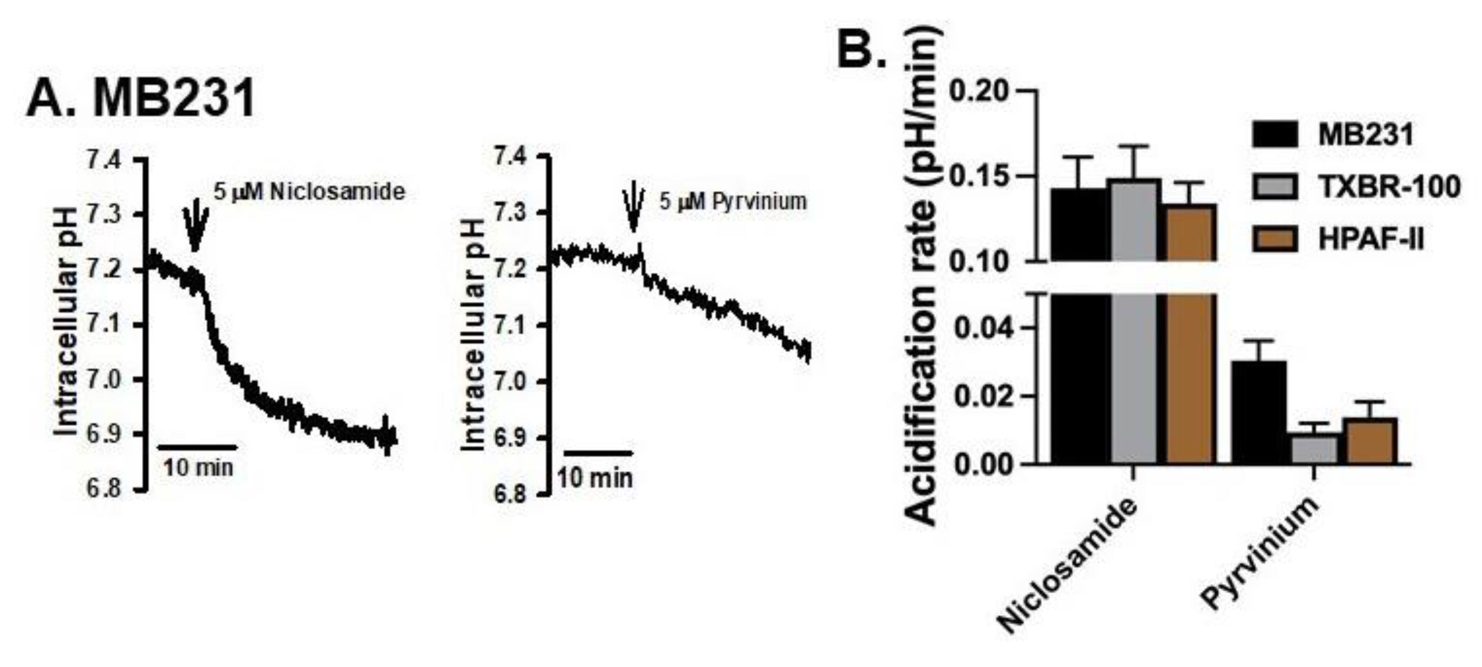 Cancers 15 00759 g002 Cancers 15 00759 g002