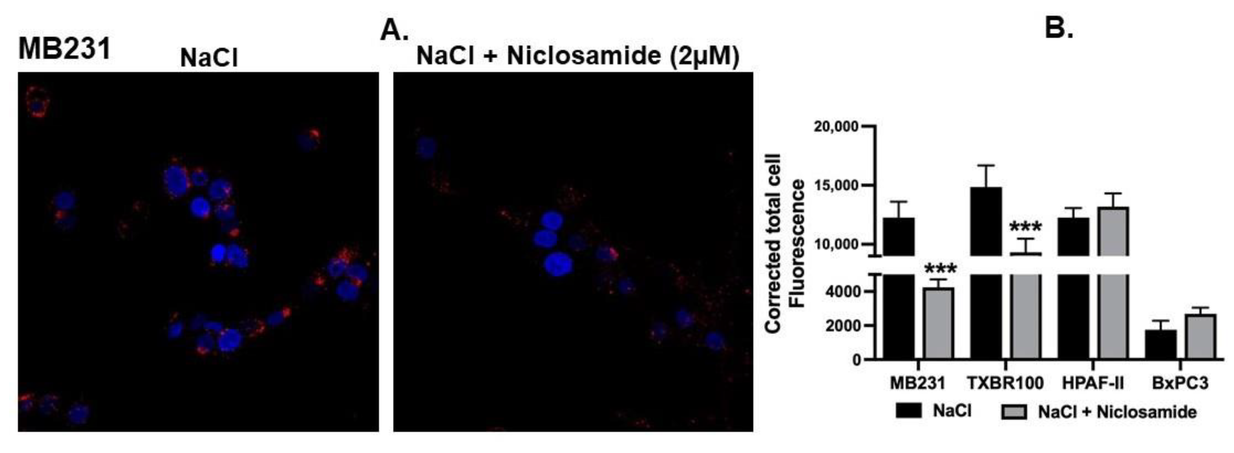 Cancers 15 00759 g003 Cancers 15 00759 g003