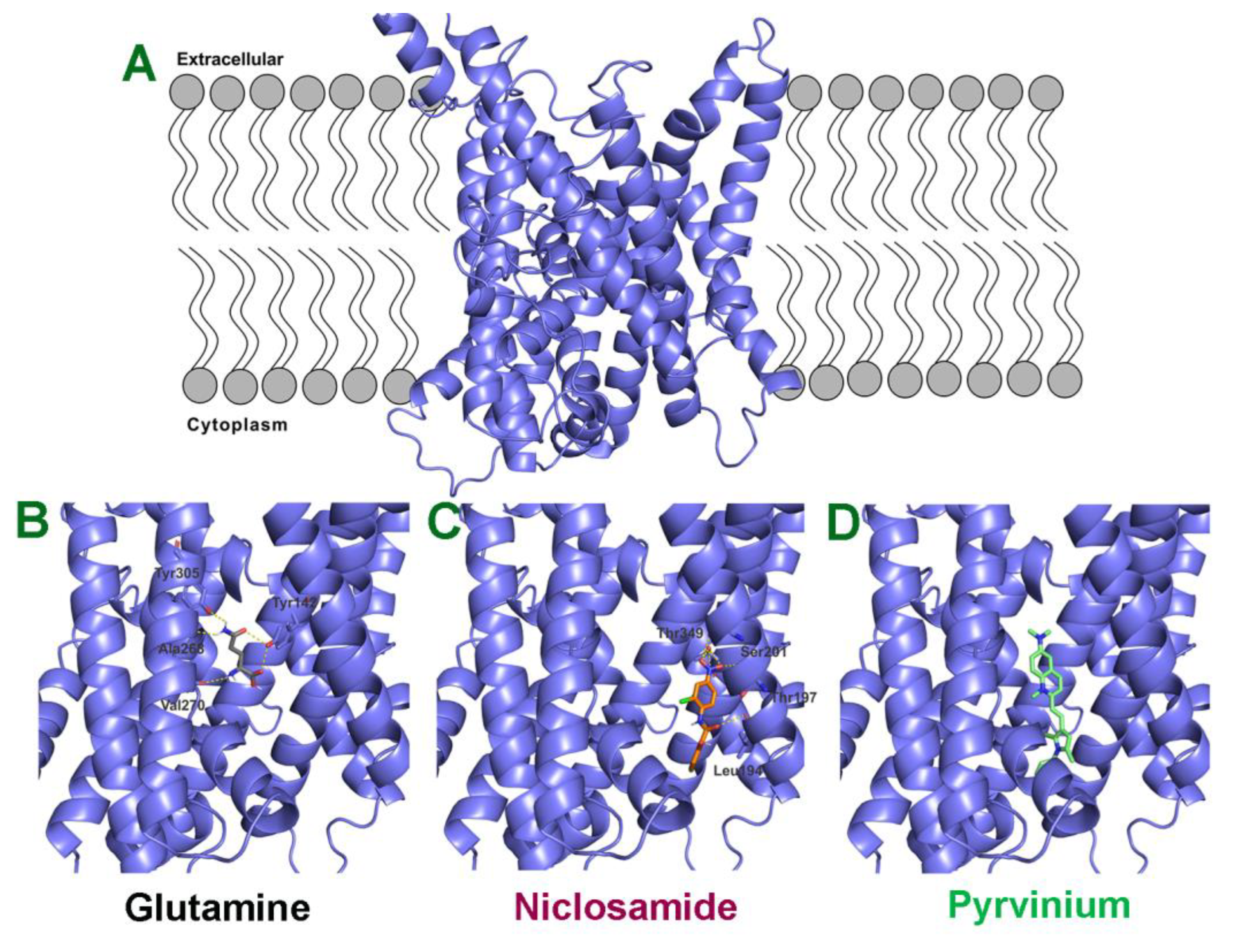 Cancers 15 00759 g009 Cancers 15 00759 g009