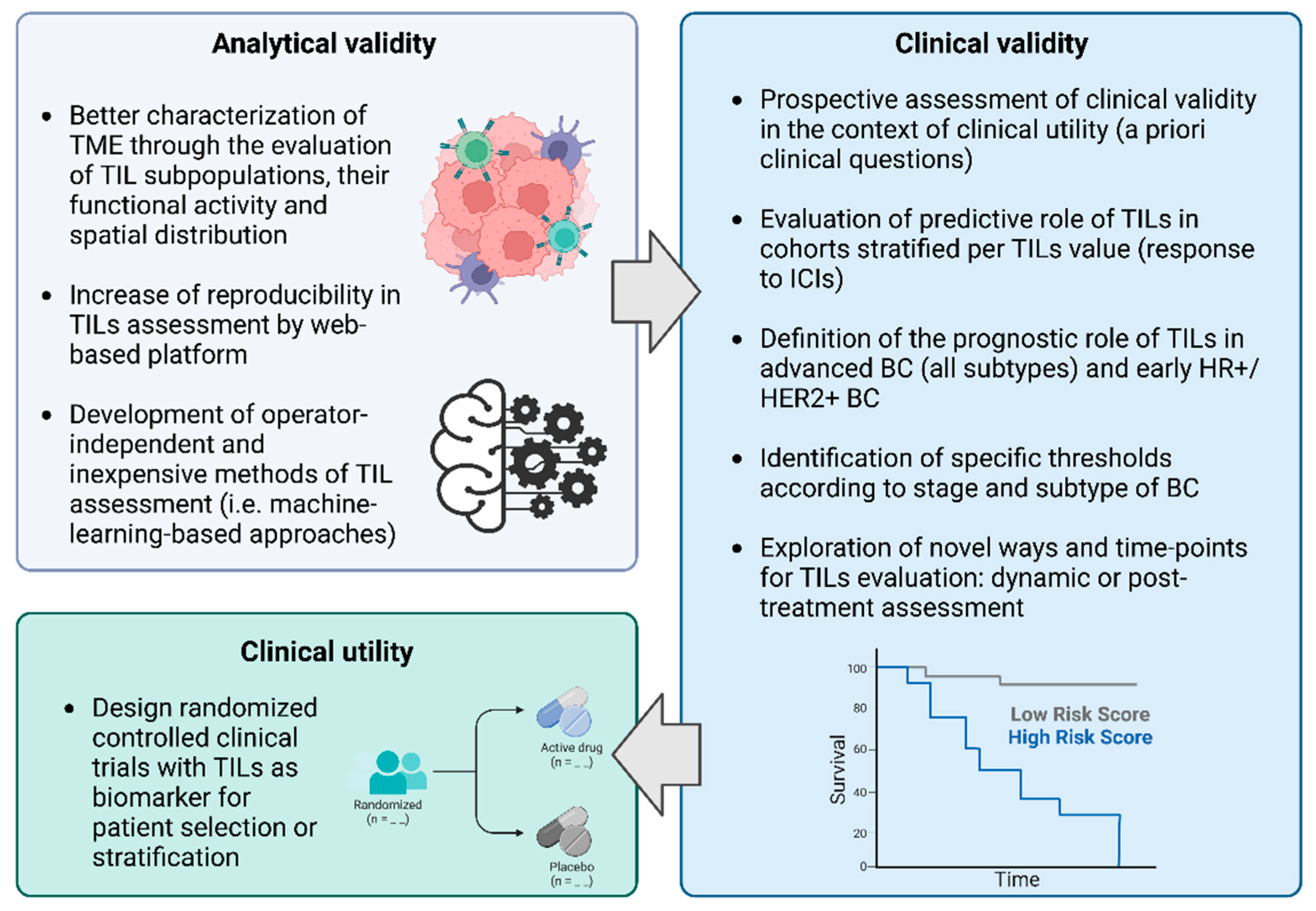 Cancers 15 00767 g001