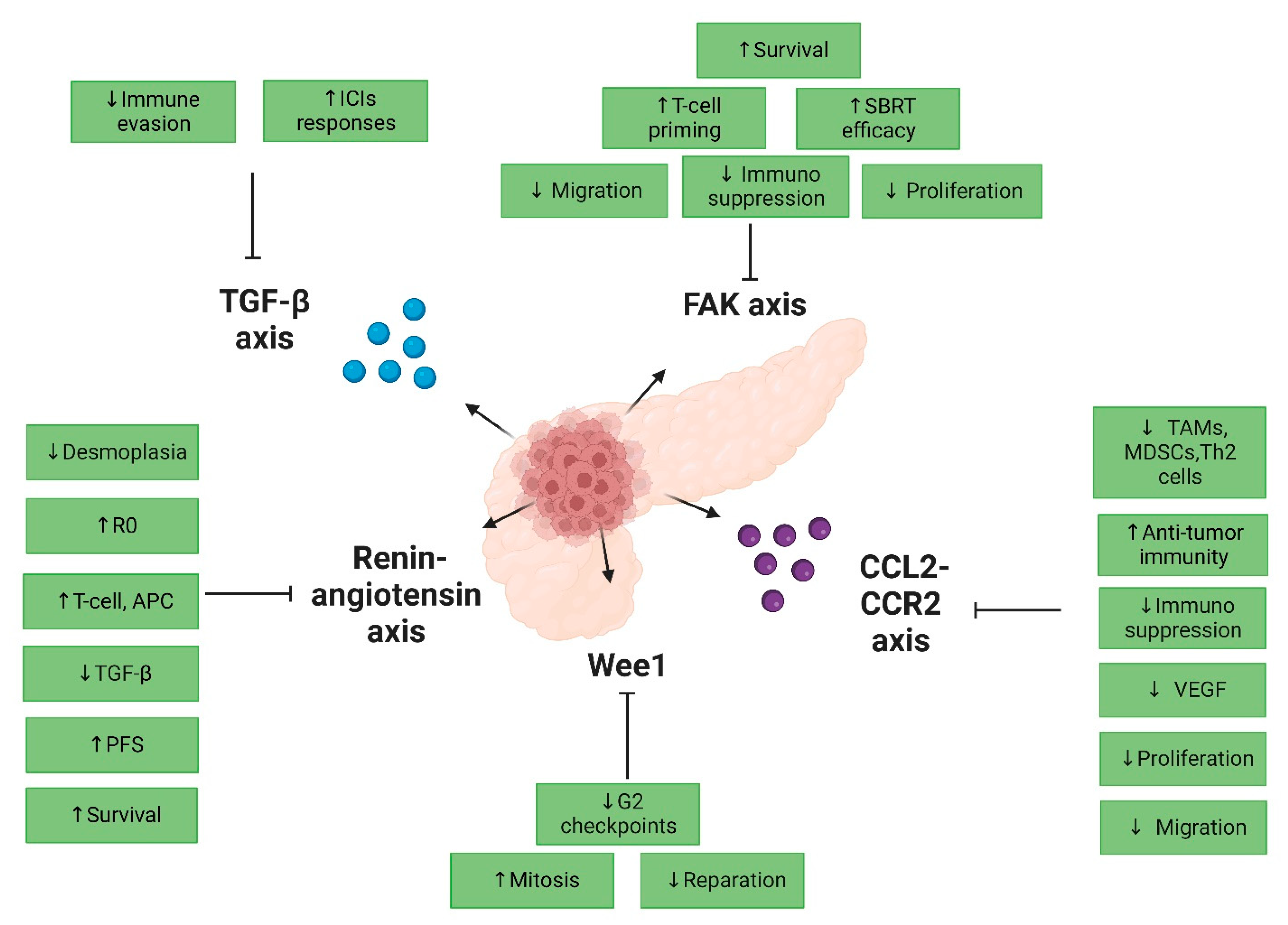 Cancers 15 00768 g002 Cancers 15 00768 g002