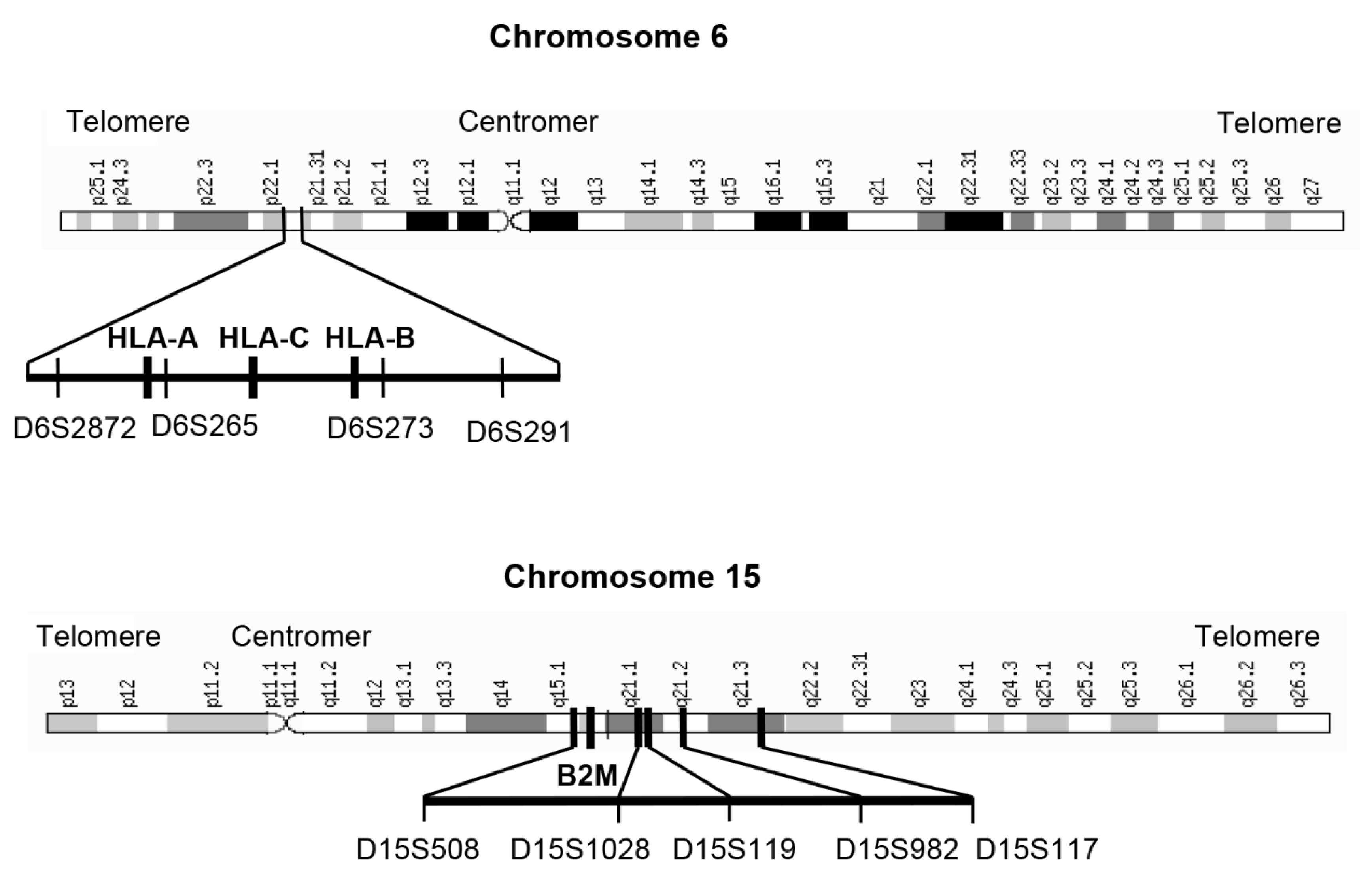 Cancers 15 00771 g001