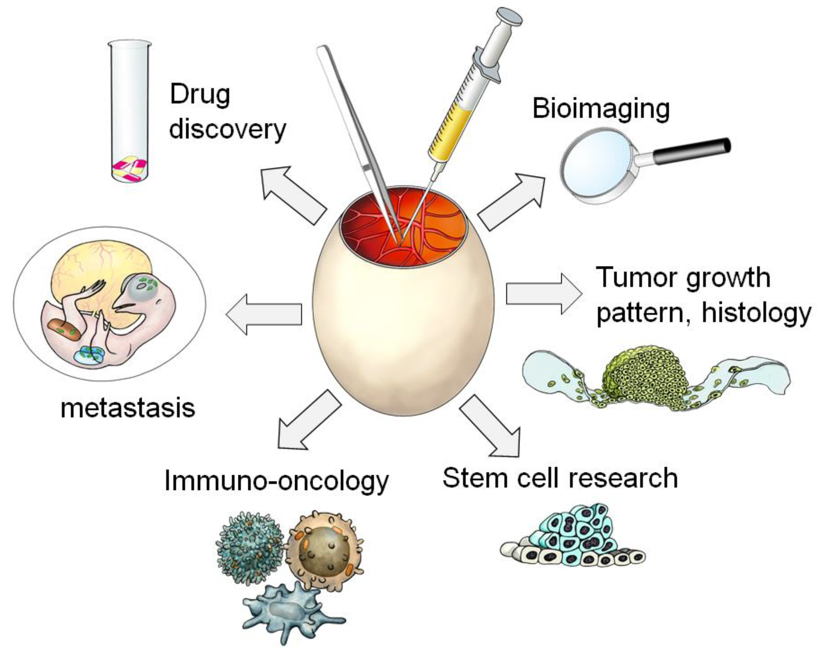 Cancers 15 00772 g001 550