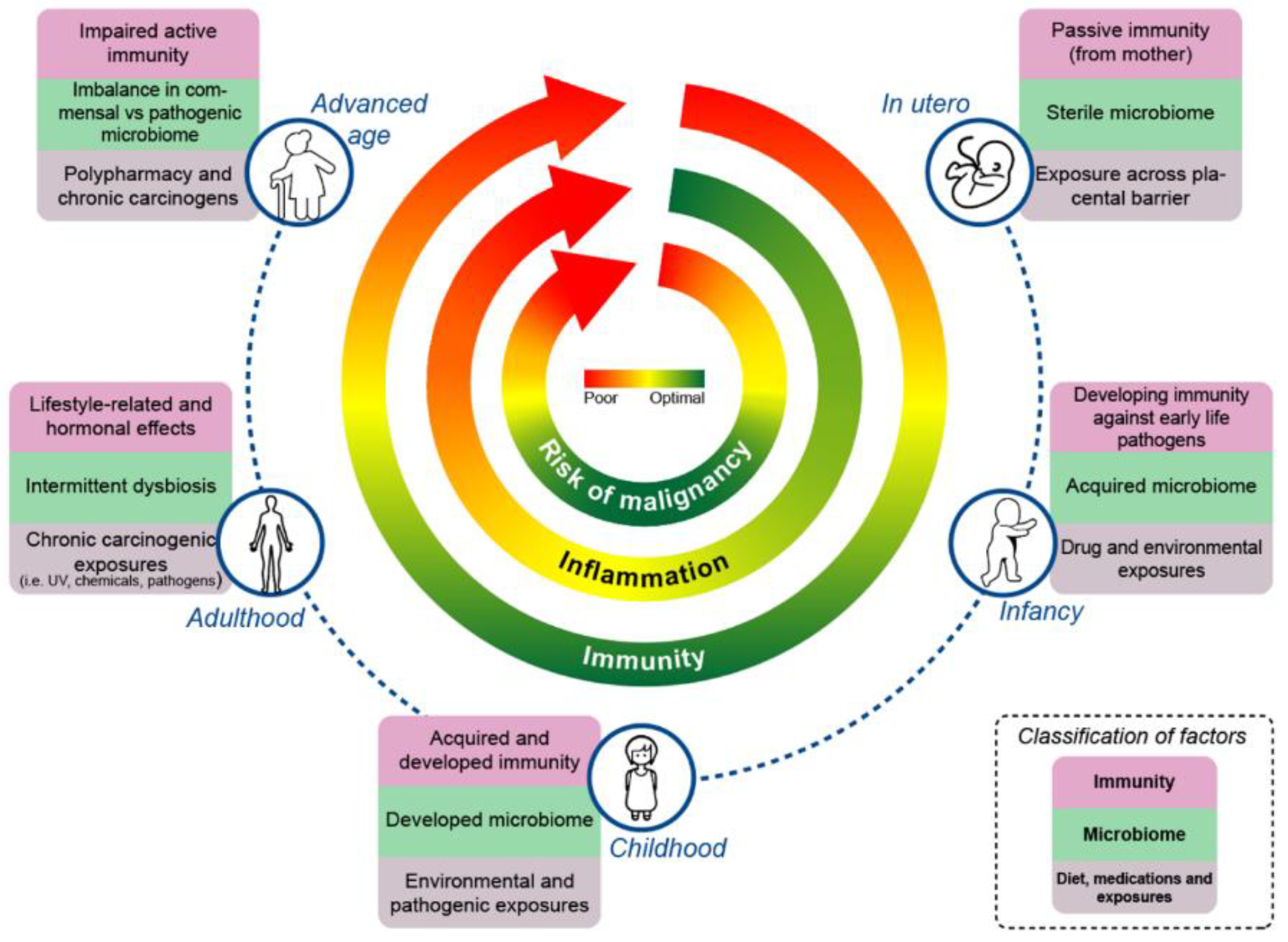 Cancers 15 00777 g001 Cancers 15 00777 g001