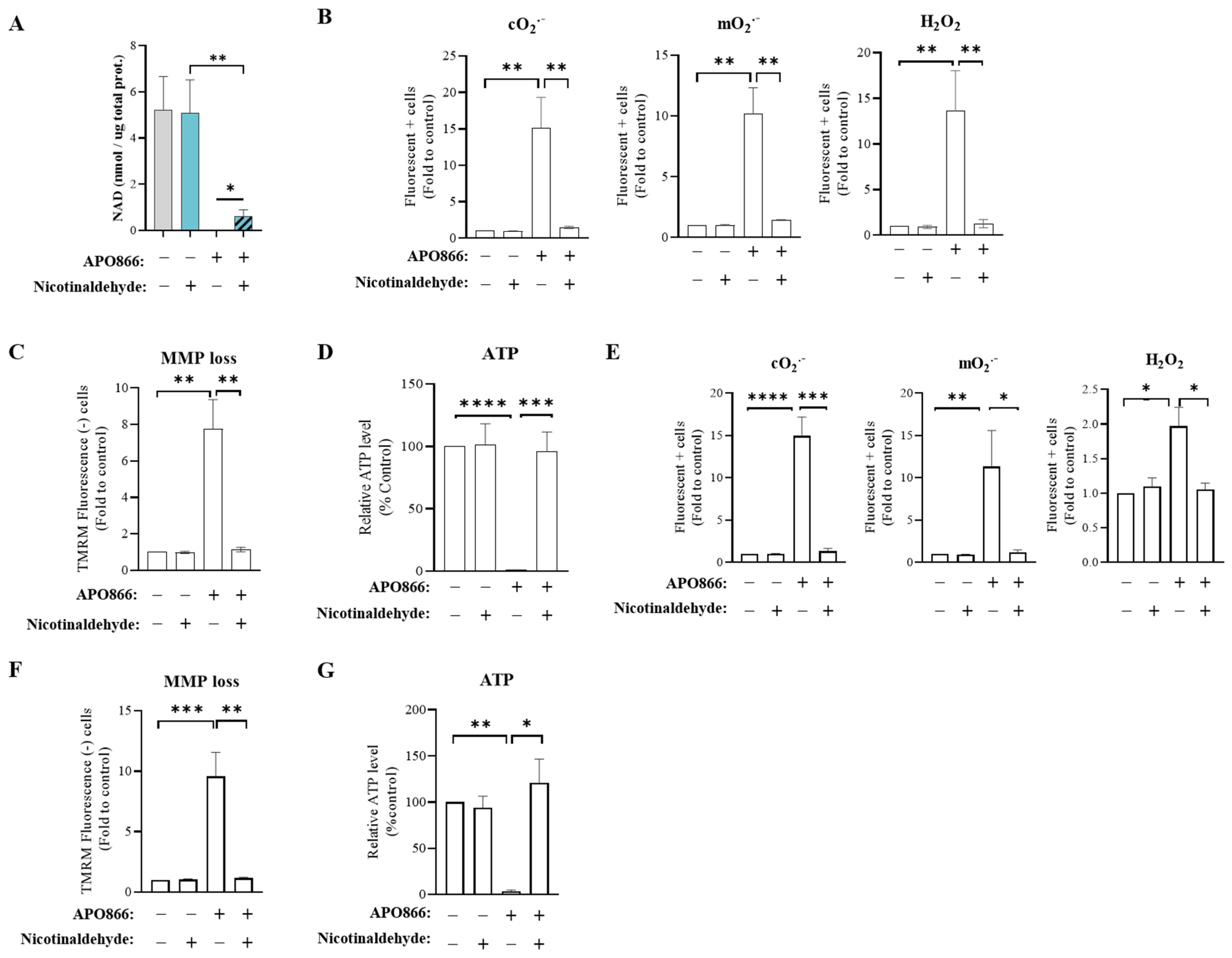 Cancers 15 00787 g002 Cancers 15 00787 g002