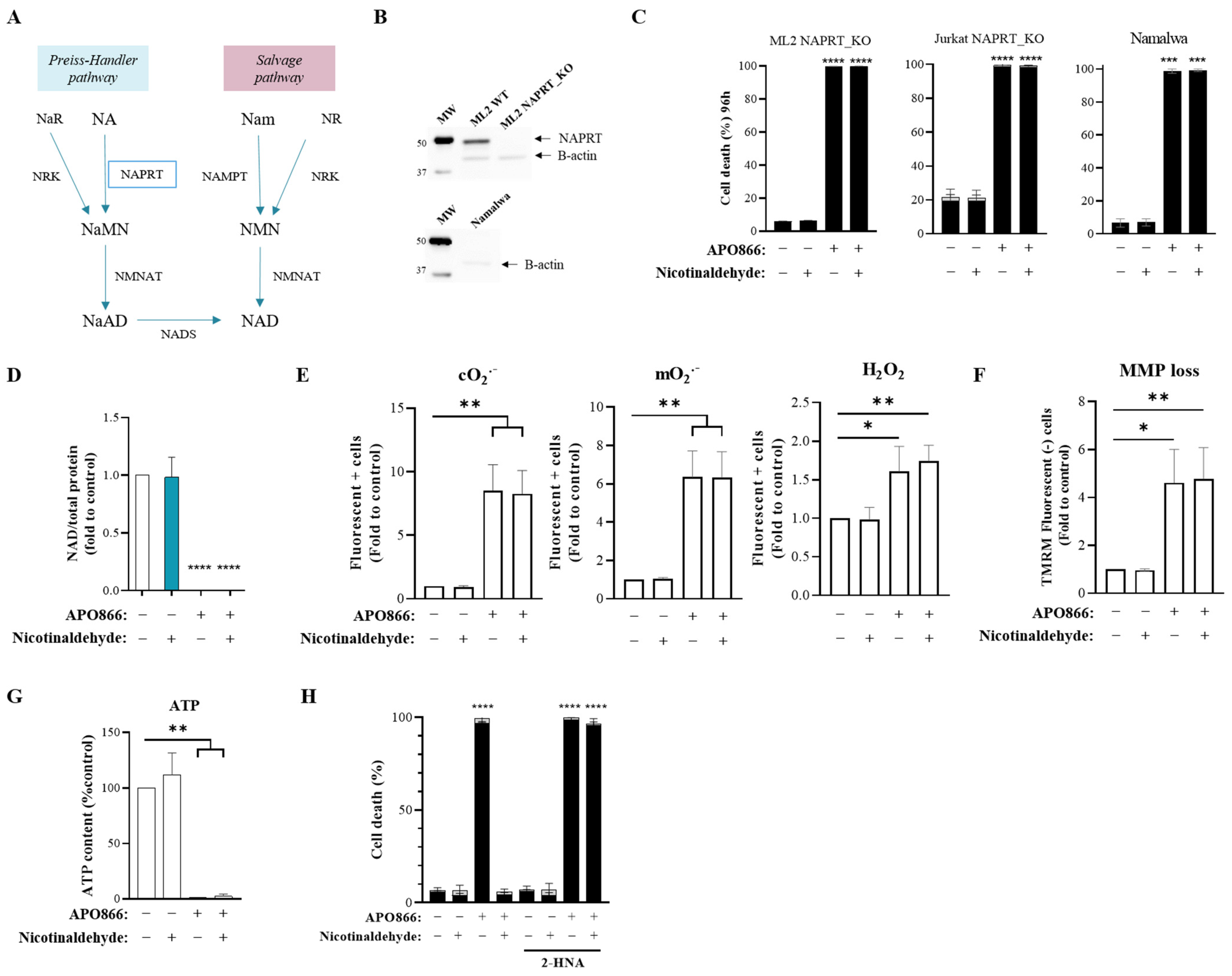 Cancers 15 00787 g003 Cancers 15 00787 g003