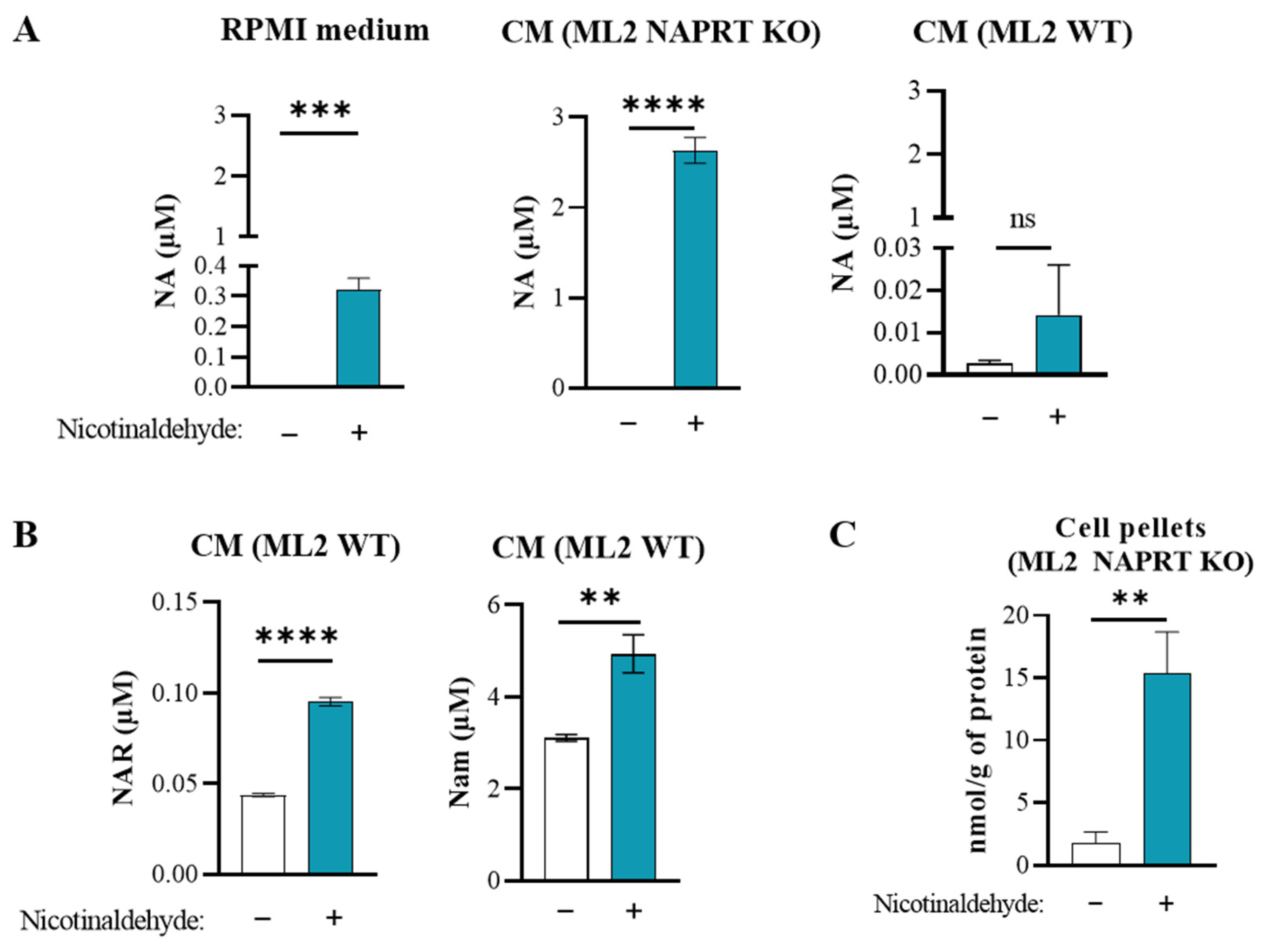 Cancers 15 00787 g004 Cancers 15 00787 g004