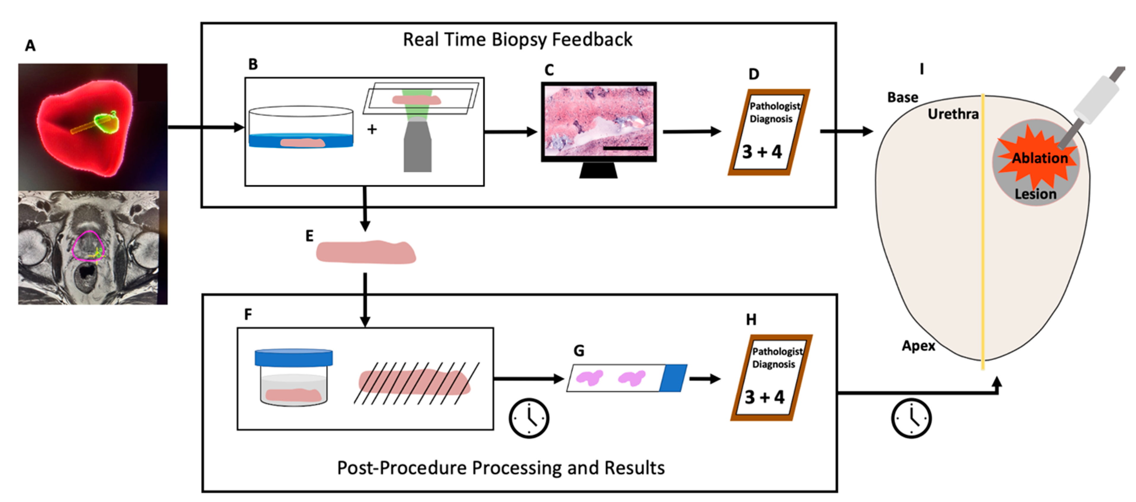 Cancers 15 00792 g001