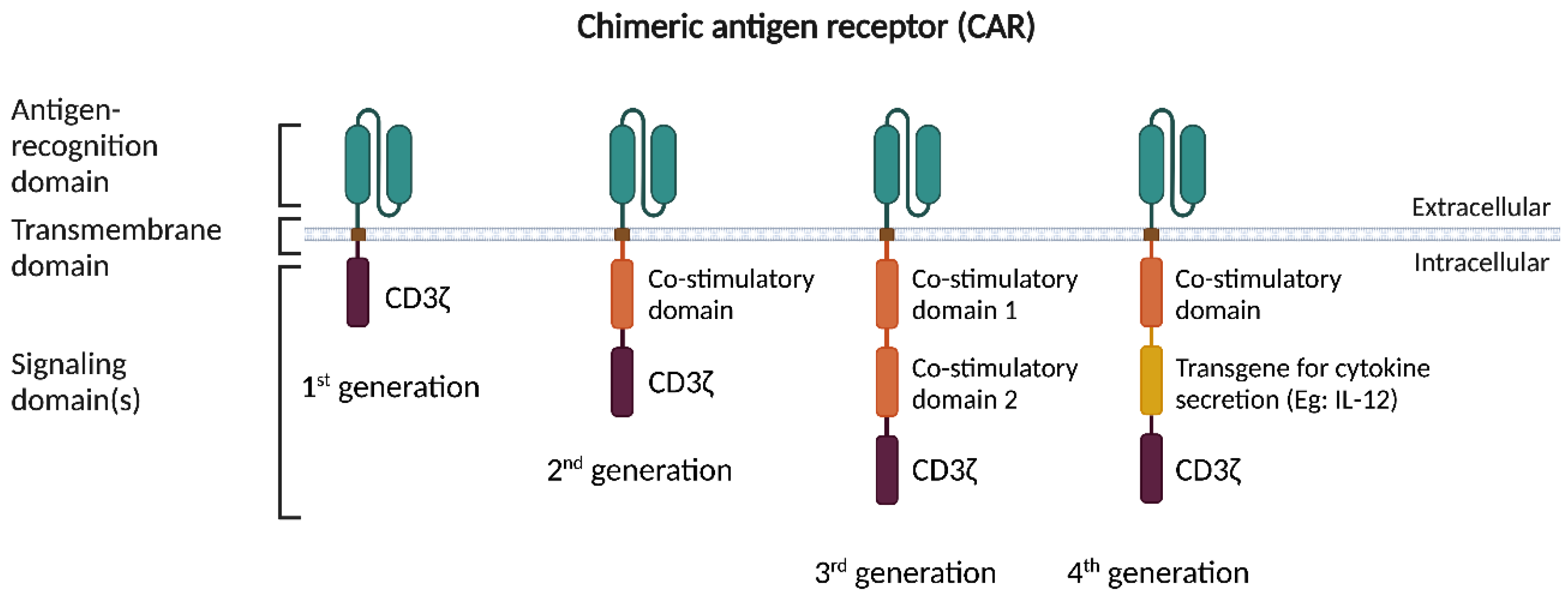 Cancers 15 00794 g001