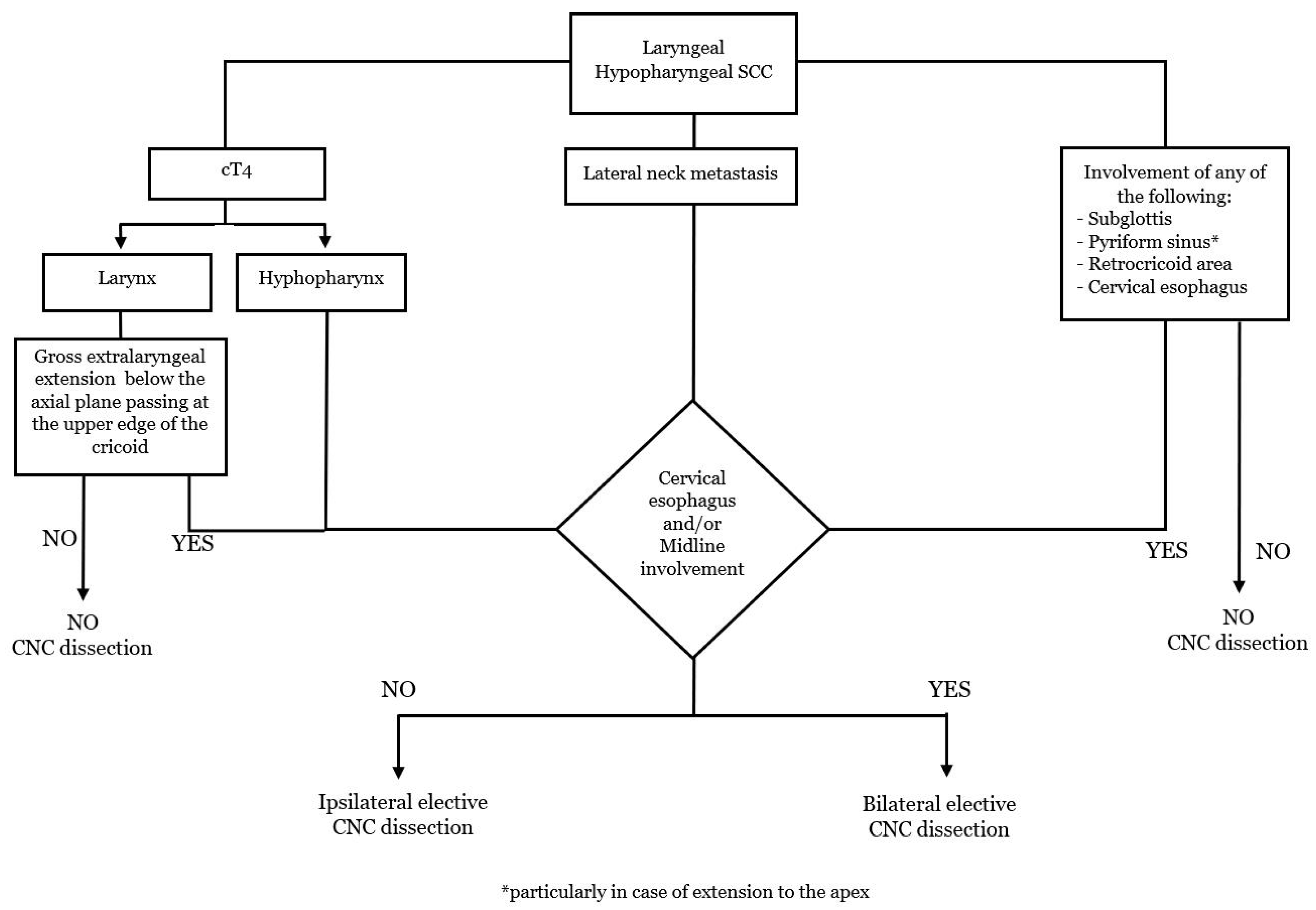 Cancers 15 00804 g003