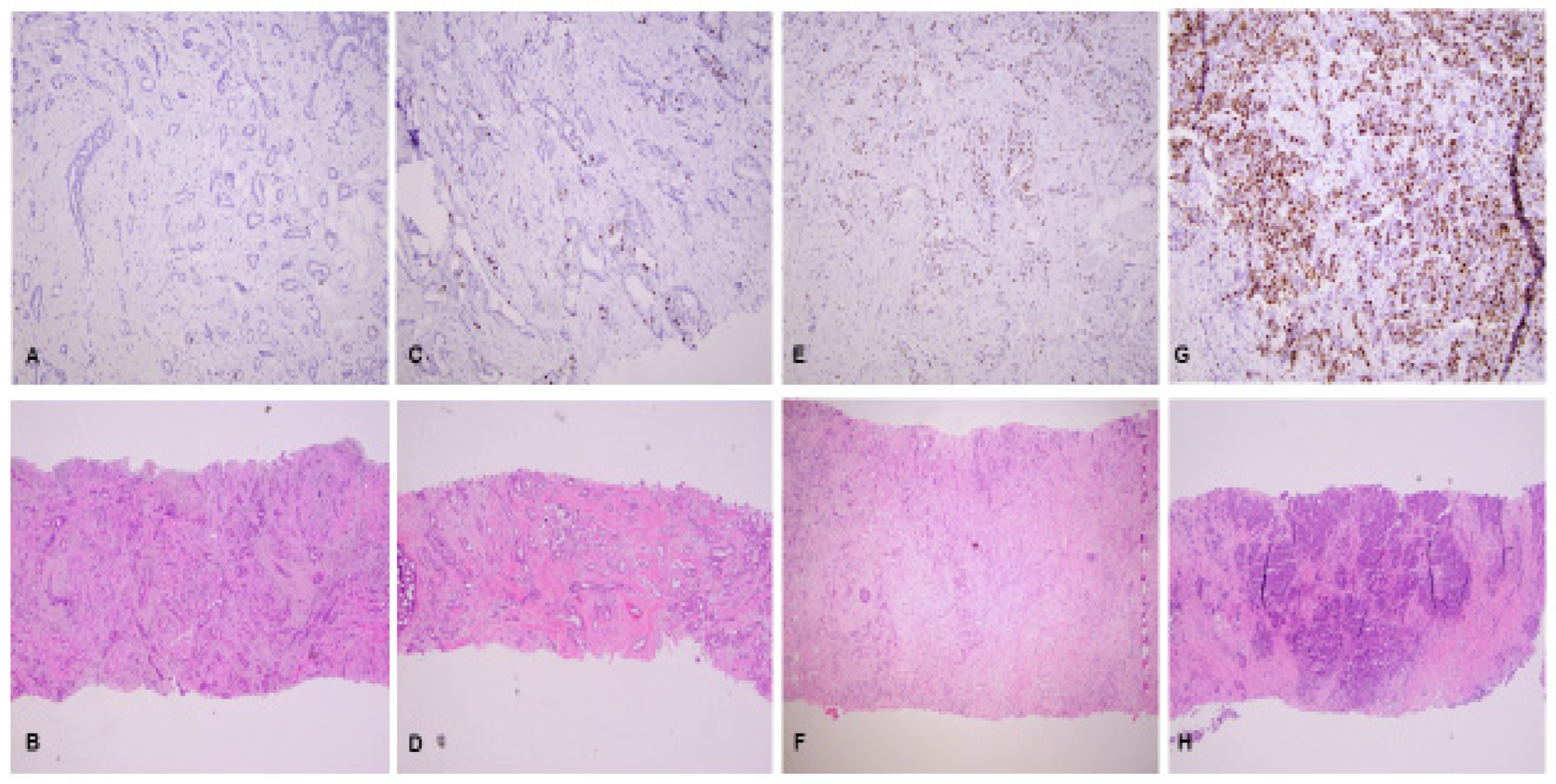 Cancers 15 00808 g001