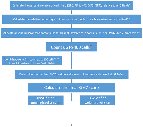The Evolution of Ki-67 and Breast Carcinoma: Past Observations