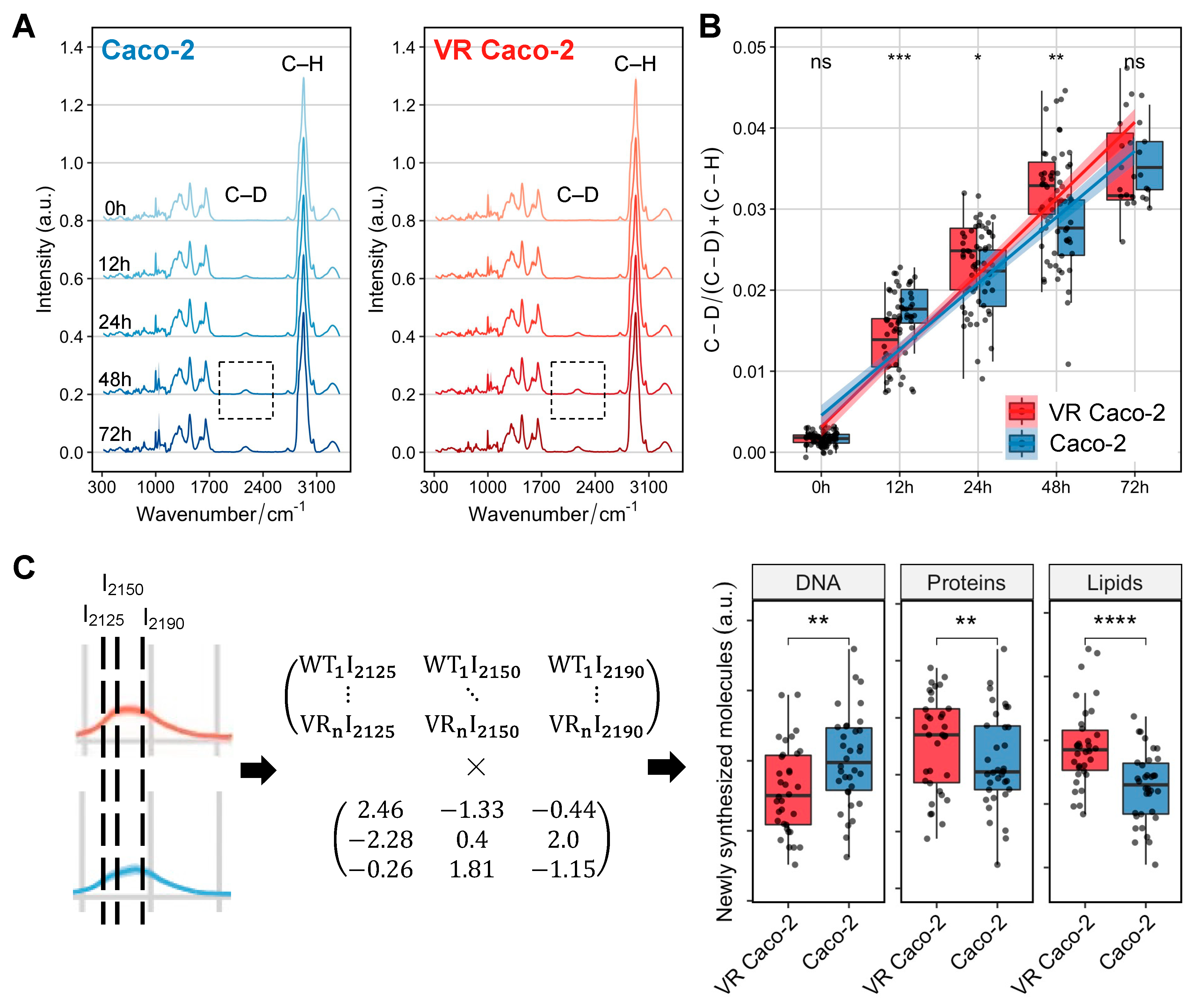 Cancers 15 00811 g005