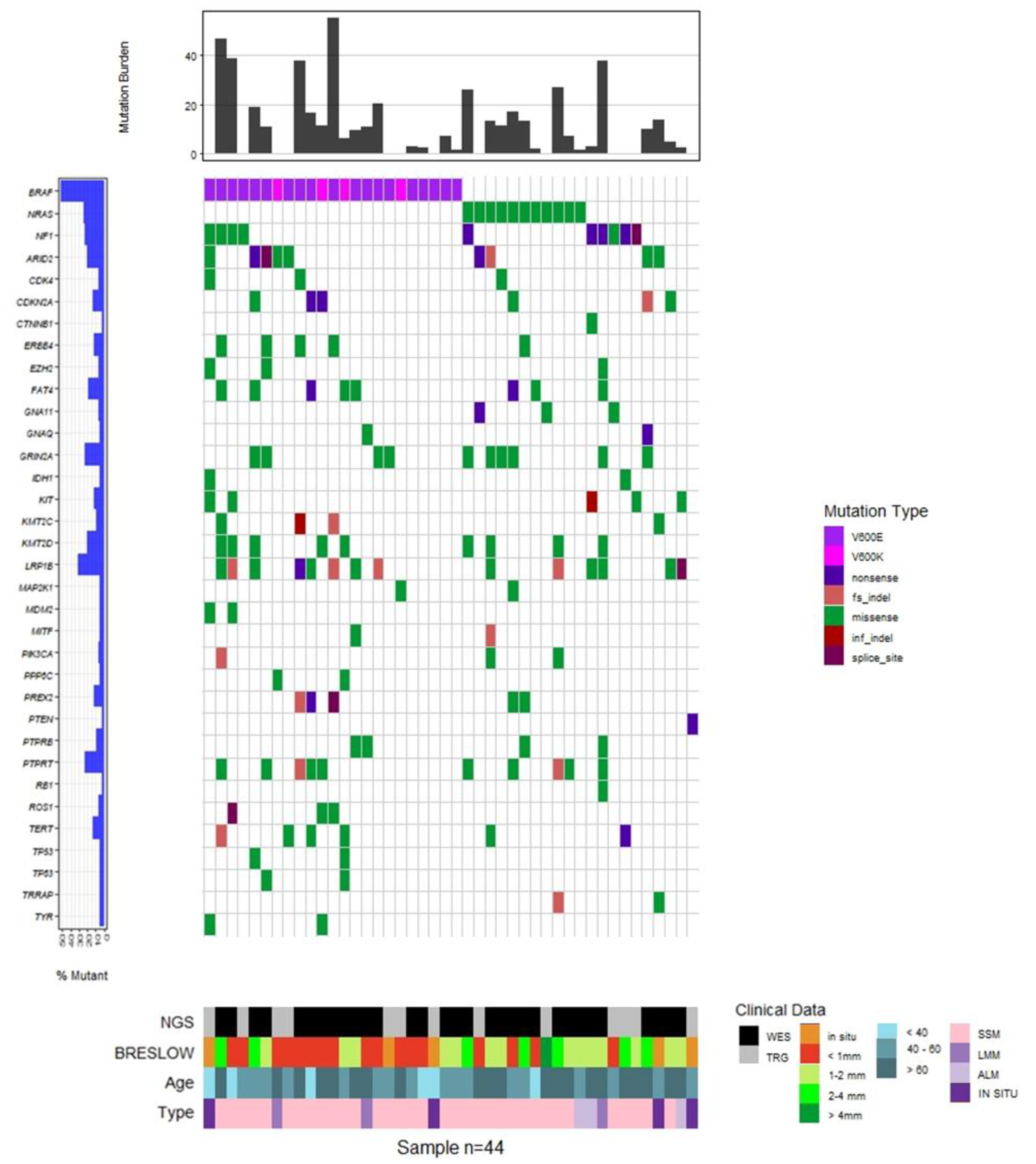 Cancers 15 00815 g003