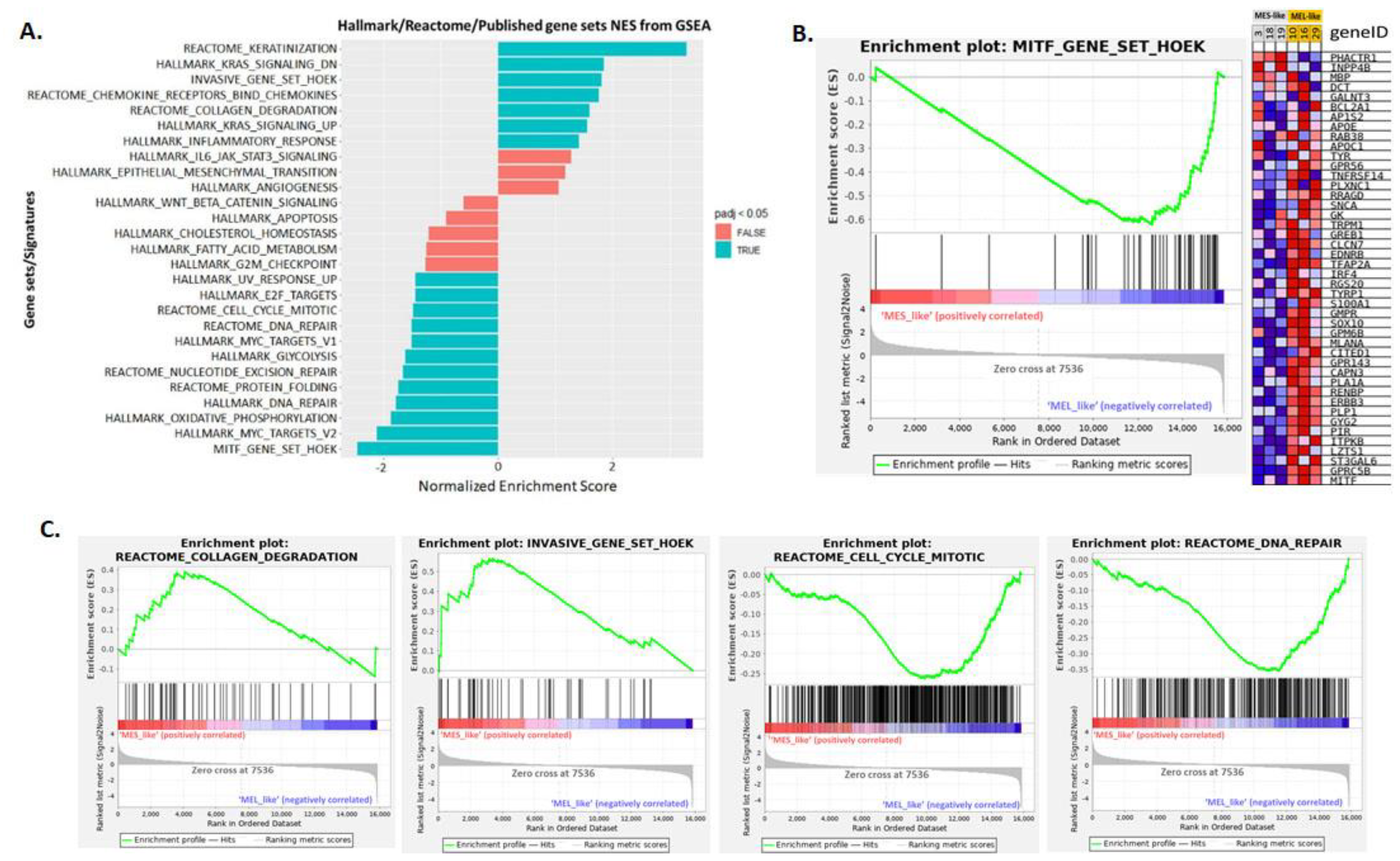 Cancers 15 00815 g008
