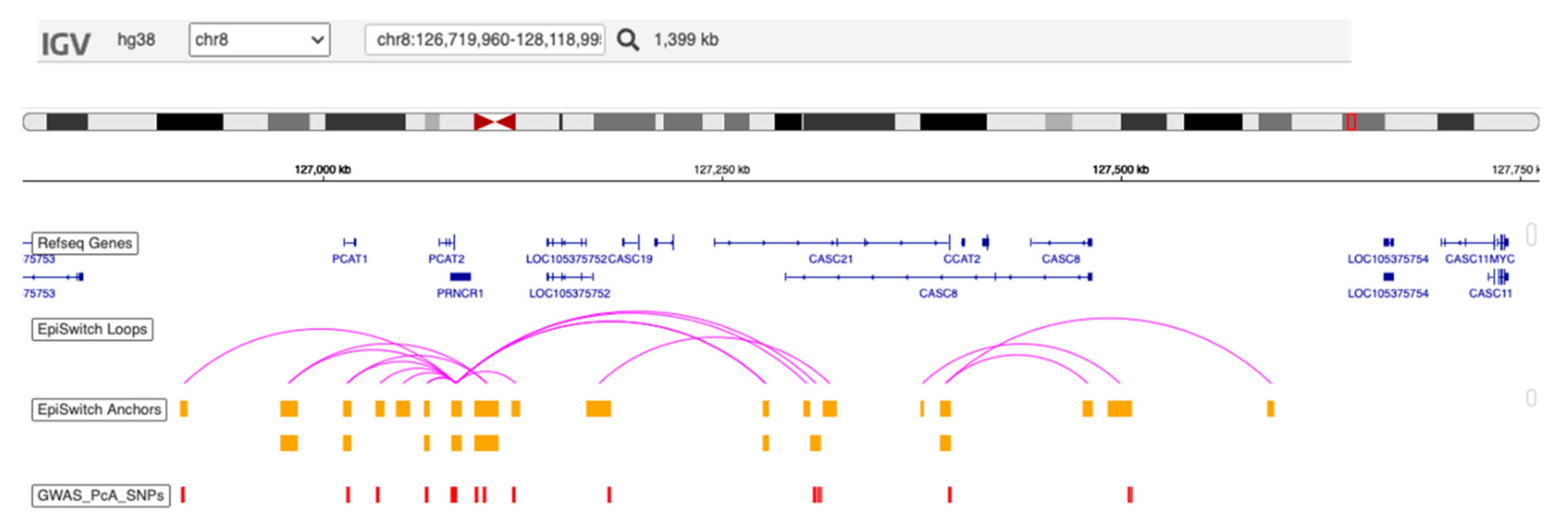 Cancers 15 00821 g004