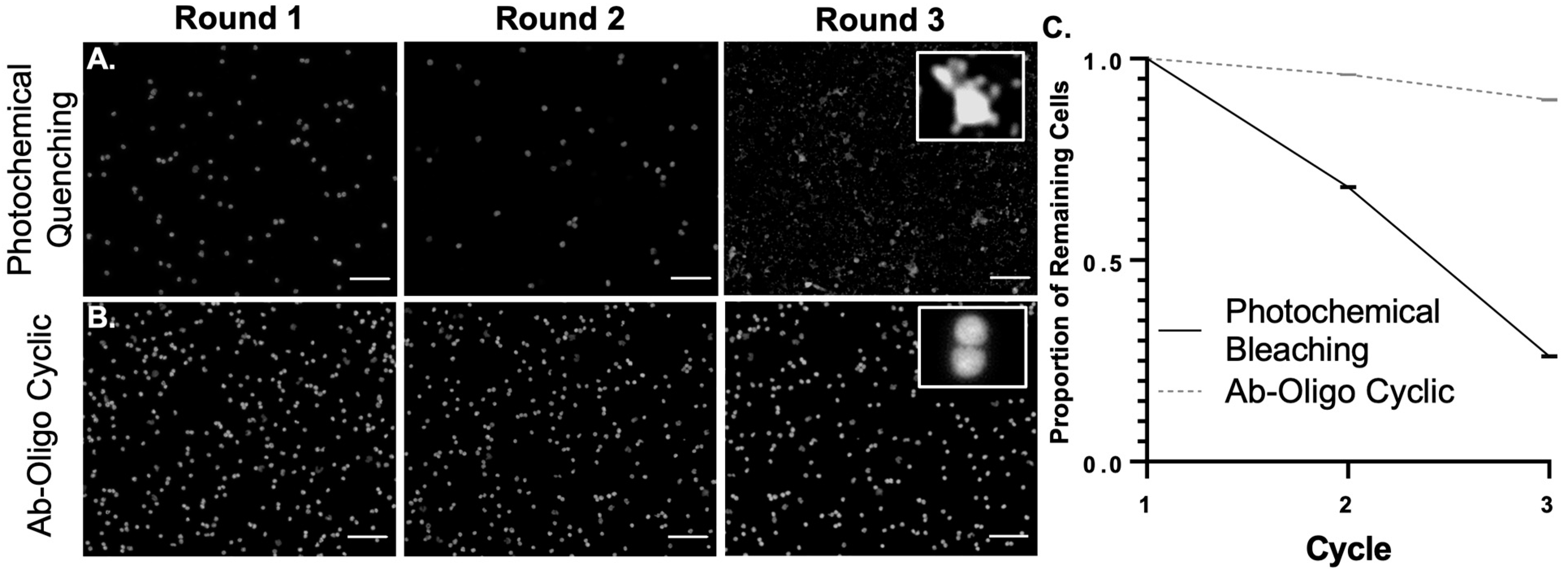Cancers 15 00827 g007