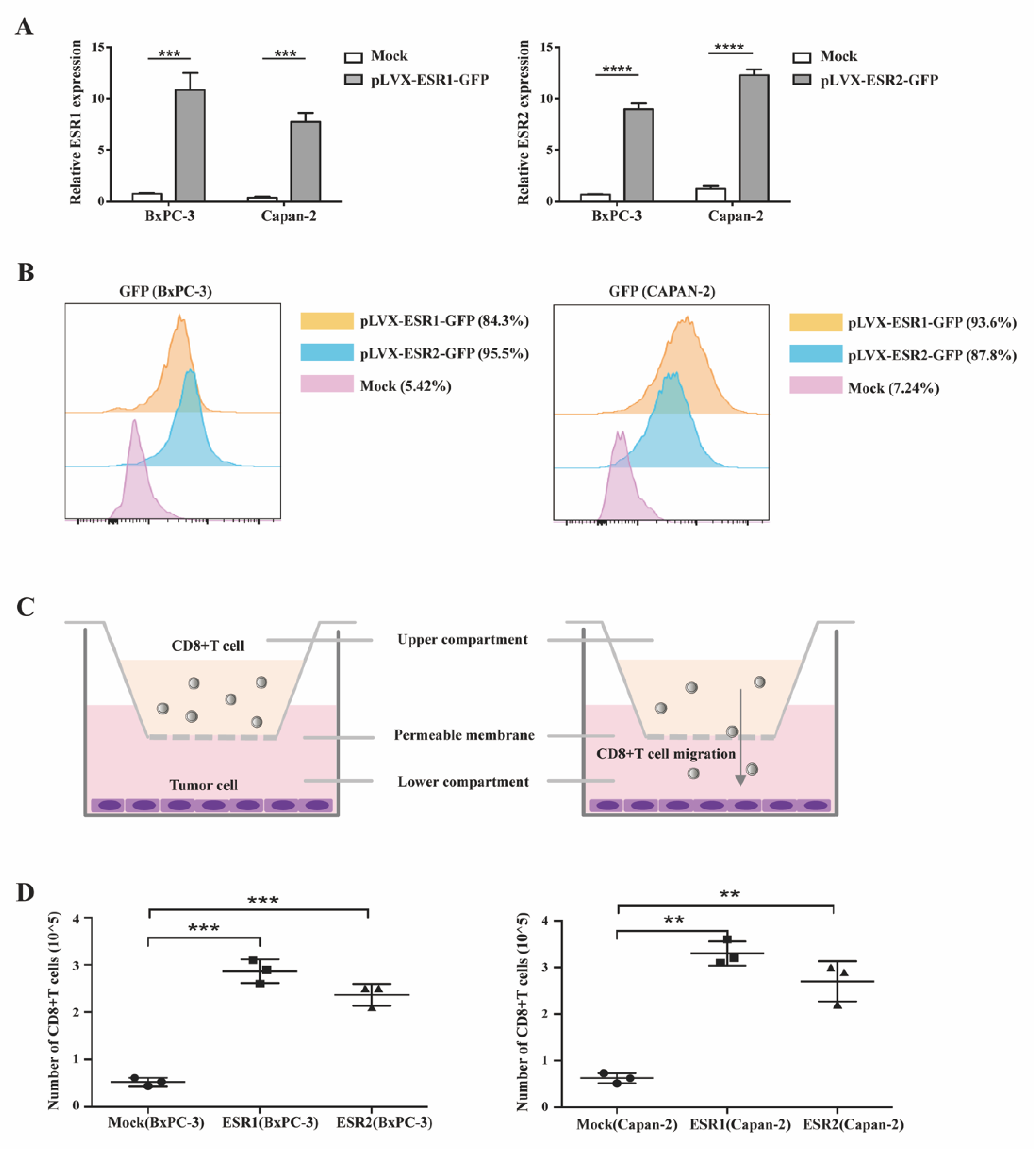 Cancers 15 00828 g005