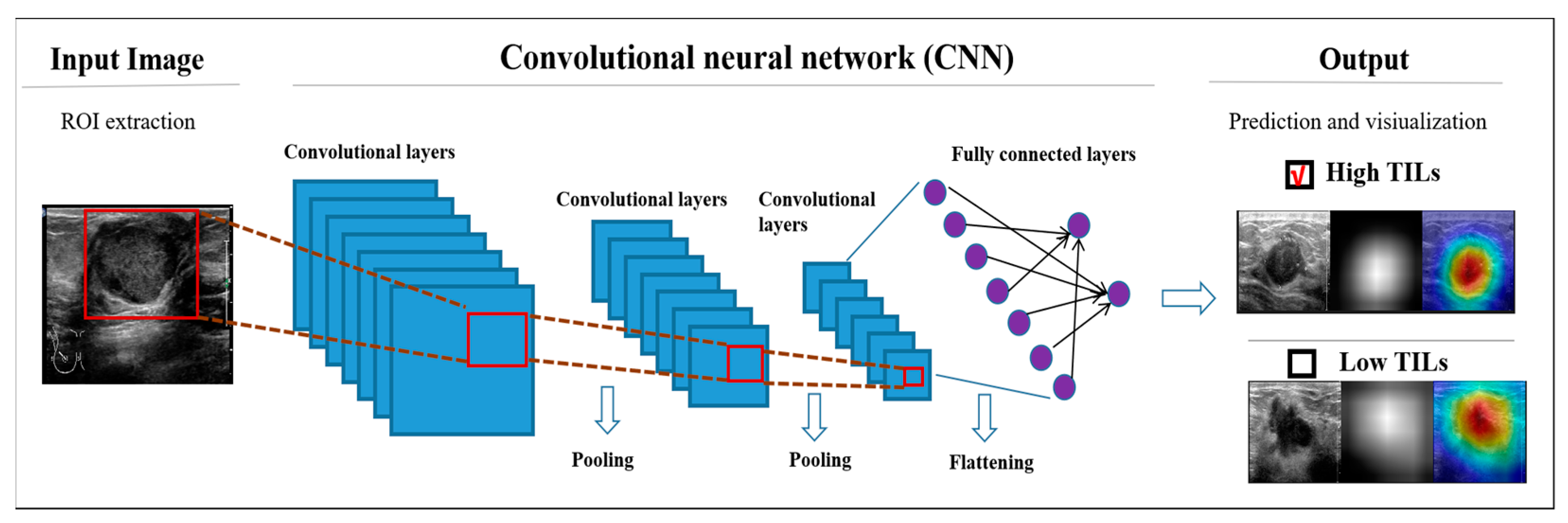 Cancers 15 00838 g002 Cancers 15 00838 g002