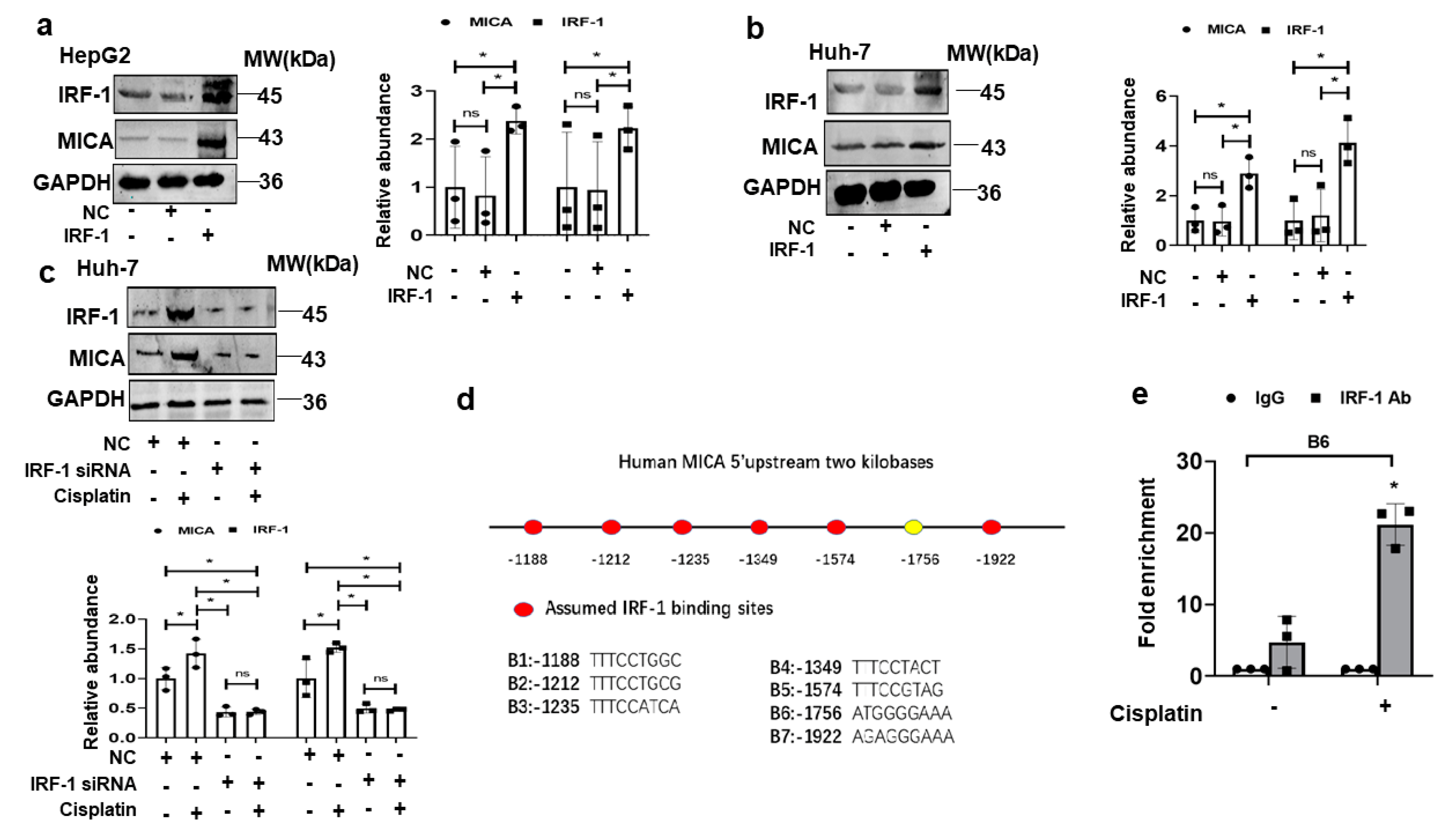 Cancers 15 00850 g005 Cancers 15 00850 g005