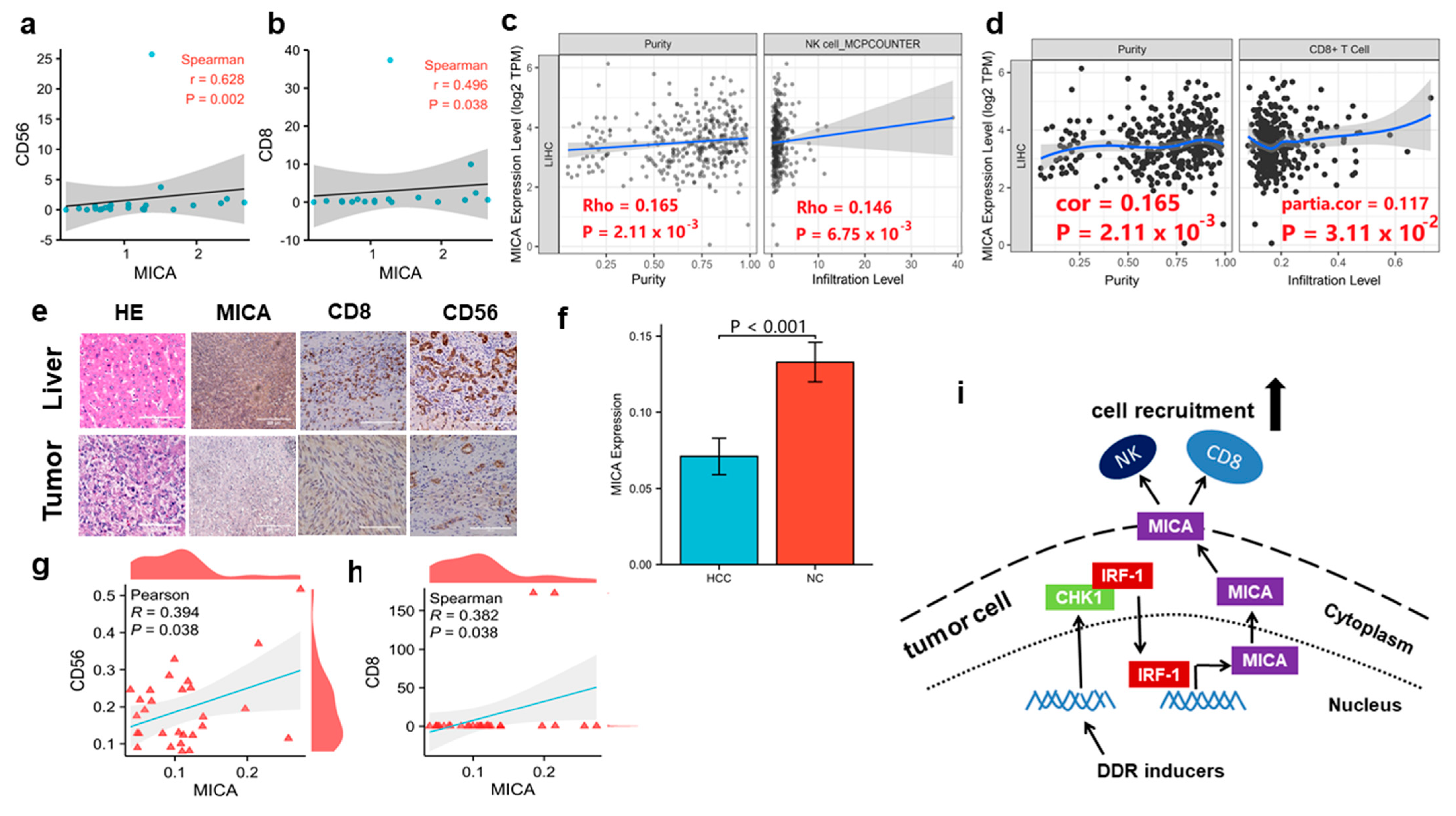 Cancers 15 00850 g006 Cancers 15 00850 g006