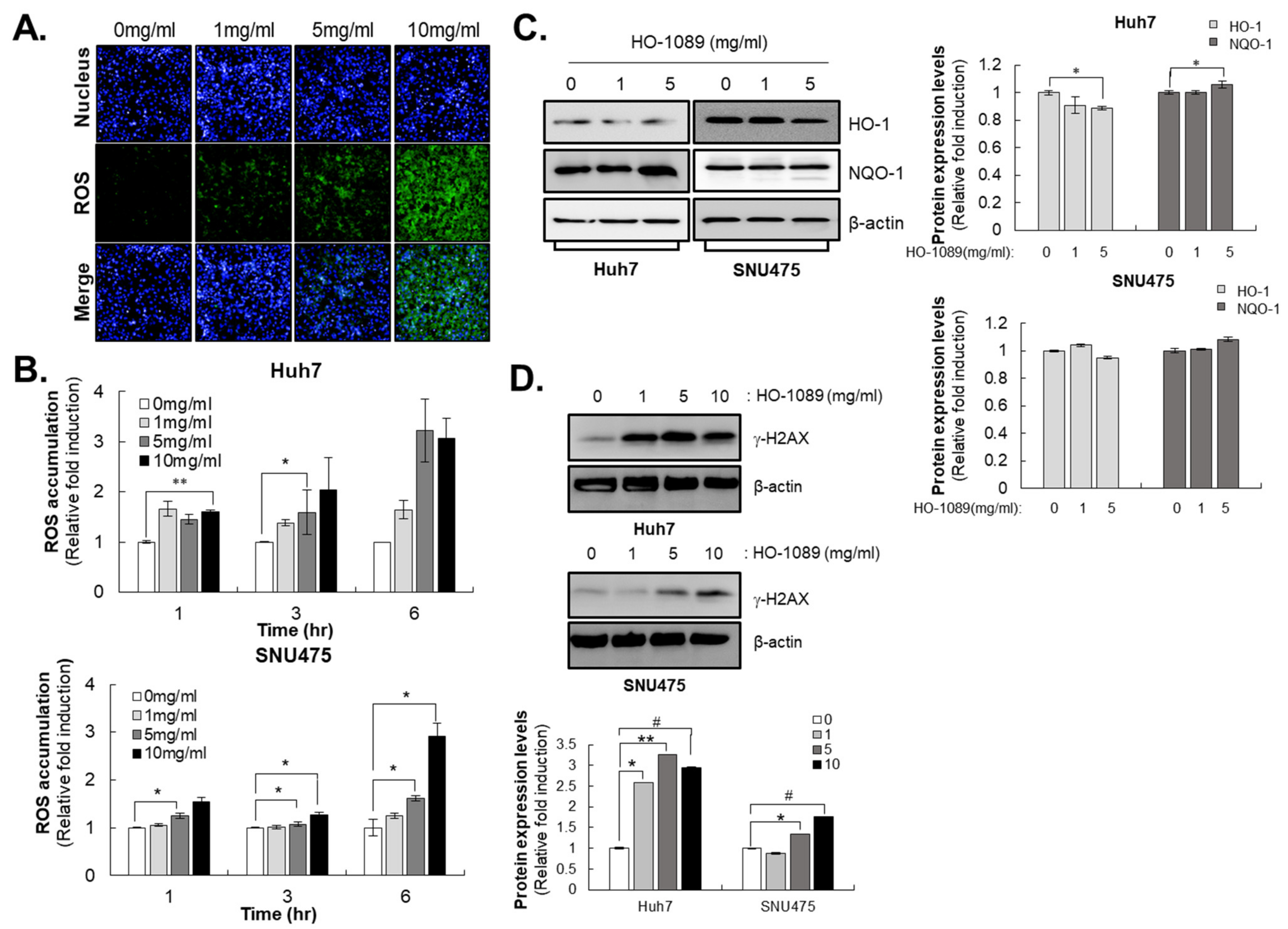 Cancers 15 00851 g002 Cancers 15 00851 g002