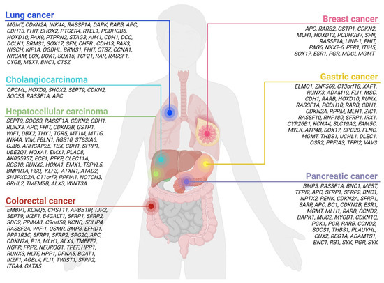 Cancers, Free Full-Text