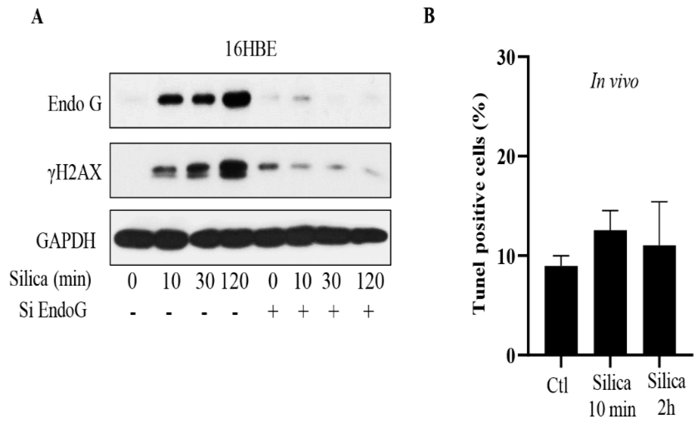 Cancers 15 00865 g003 Cancers 15 00865 g003