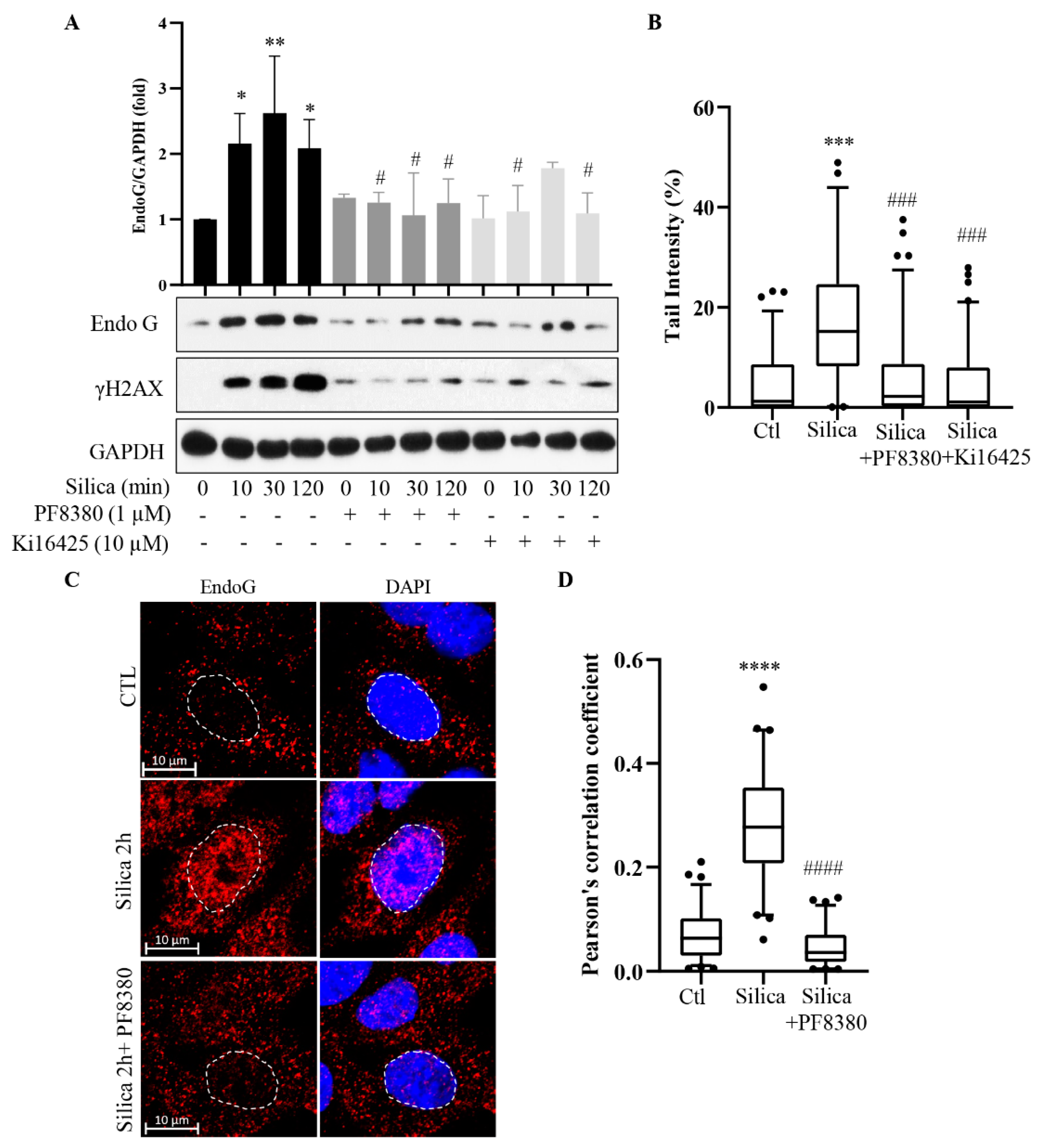 Cancers 15 00865 g004 Cancers 15 00865 g004